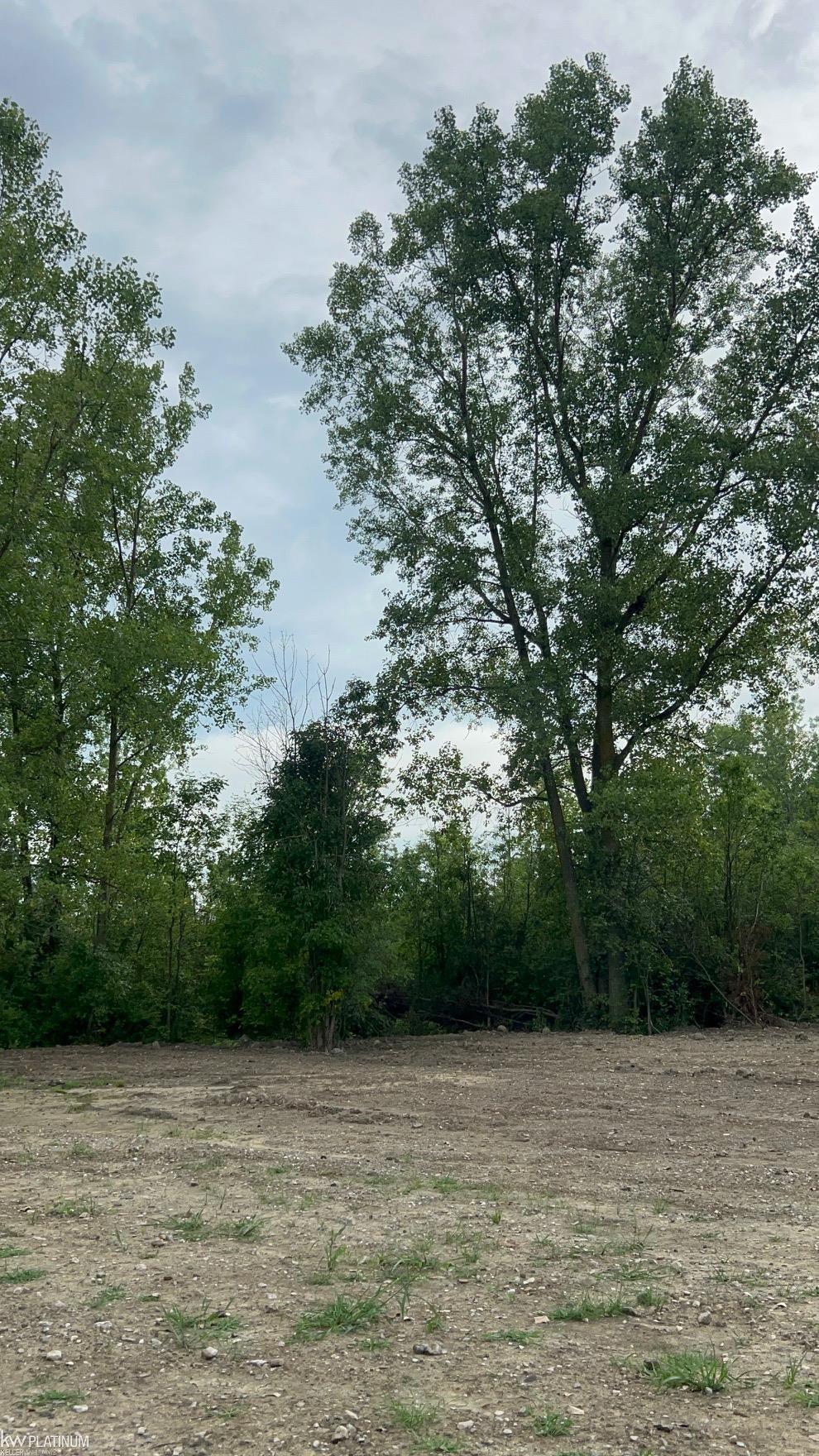 3255 Plank Road Marine City, MI 48039 - Photo 11 of 16 Gallery Image 11
