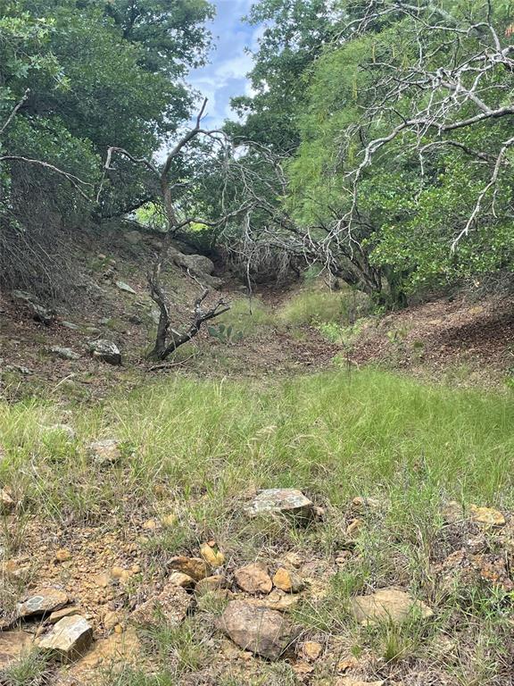 31.09-ac Hoefle Road Jacksboro, TX 76458 - Photo 28 of 33 a view of a yard with a tree