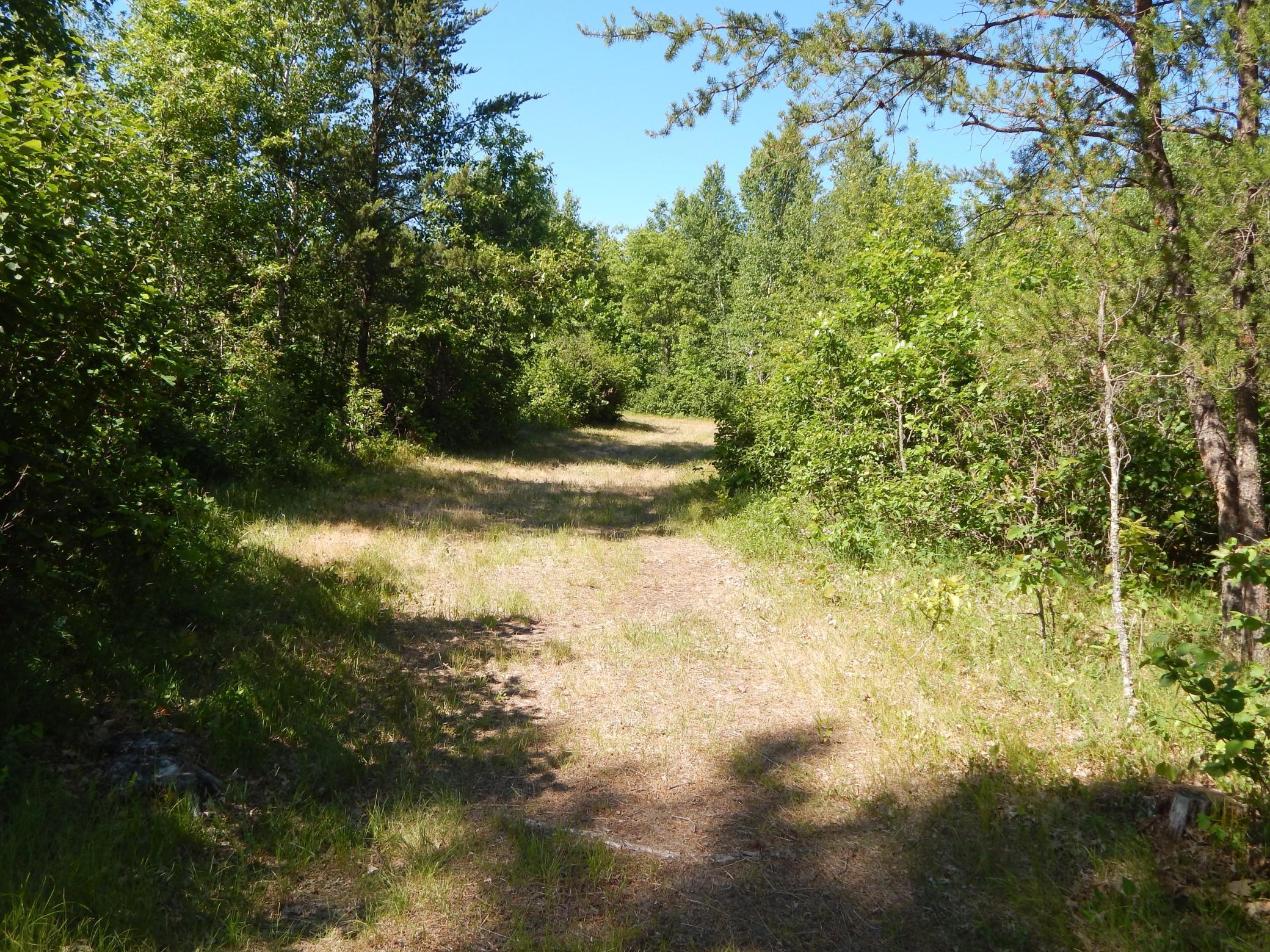 Tbd 20th Street Southwest Backus, MN 56435 - Photo 11 of 16