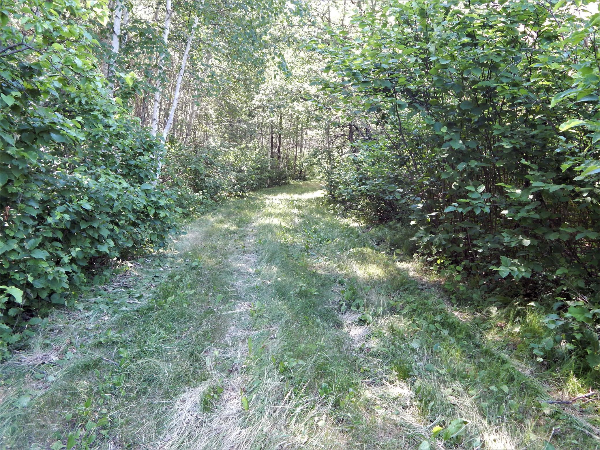 Tbd 20th Street Southwest Backus, MN 56435 - Photo 12 of 16