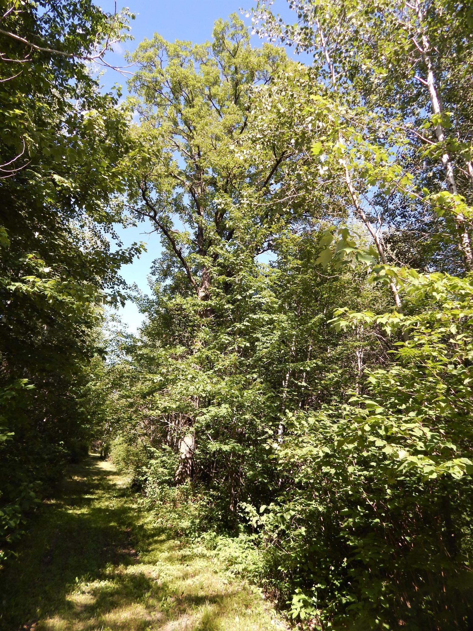 Tbd 20th Street Southwest Backus, MN 56435 - Photo 14 of 16