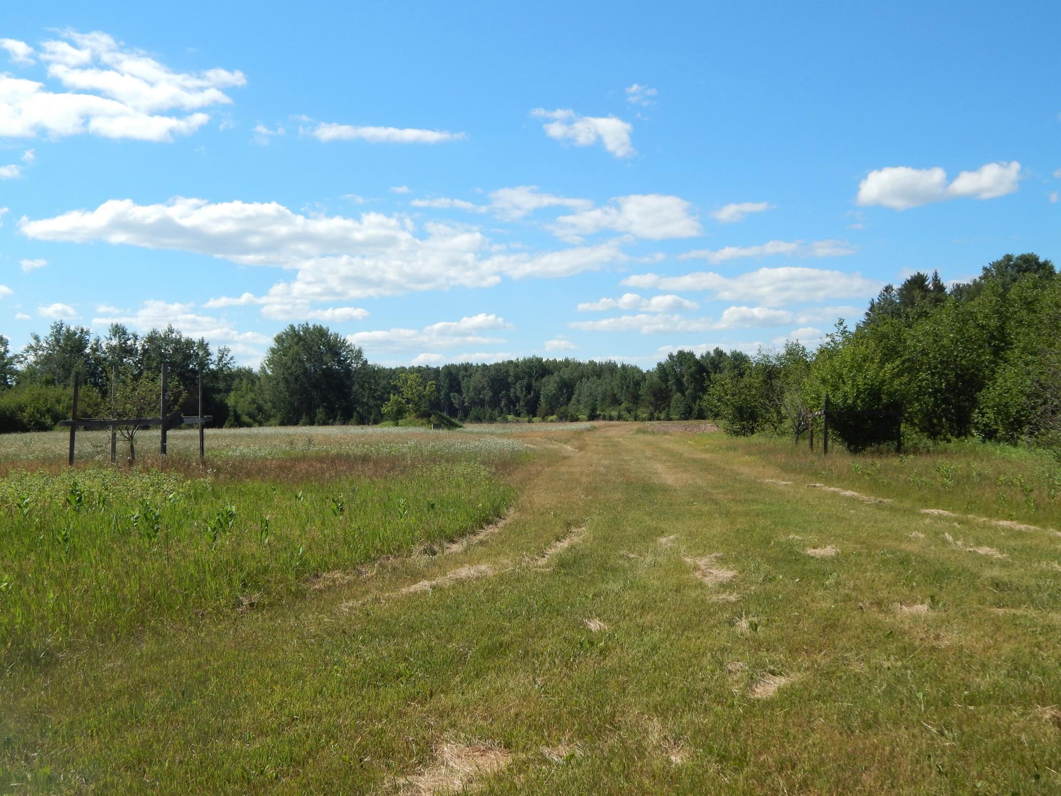Tbd 20th Street Southwest Backus, MN 56435 - Photo 3 of 16