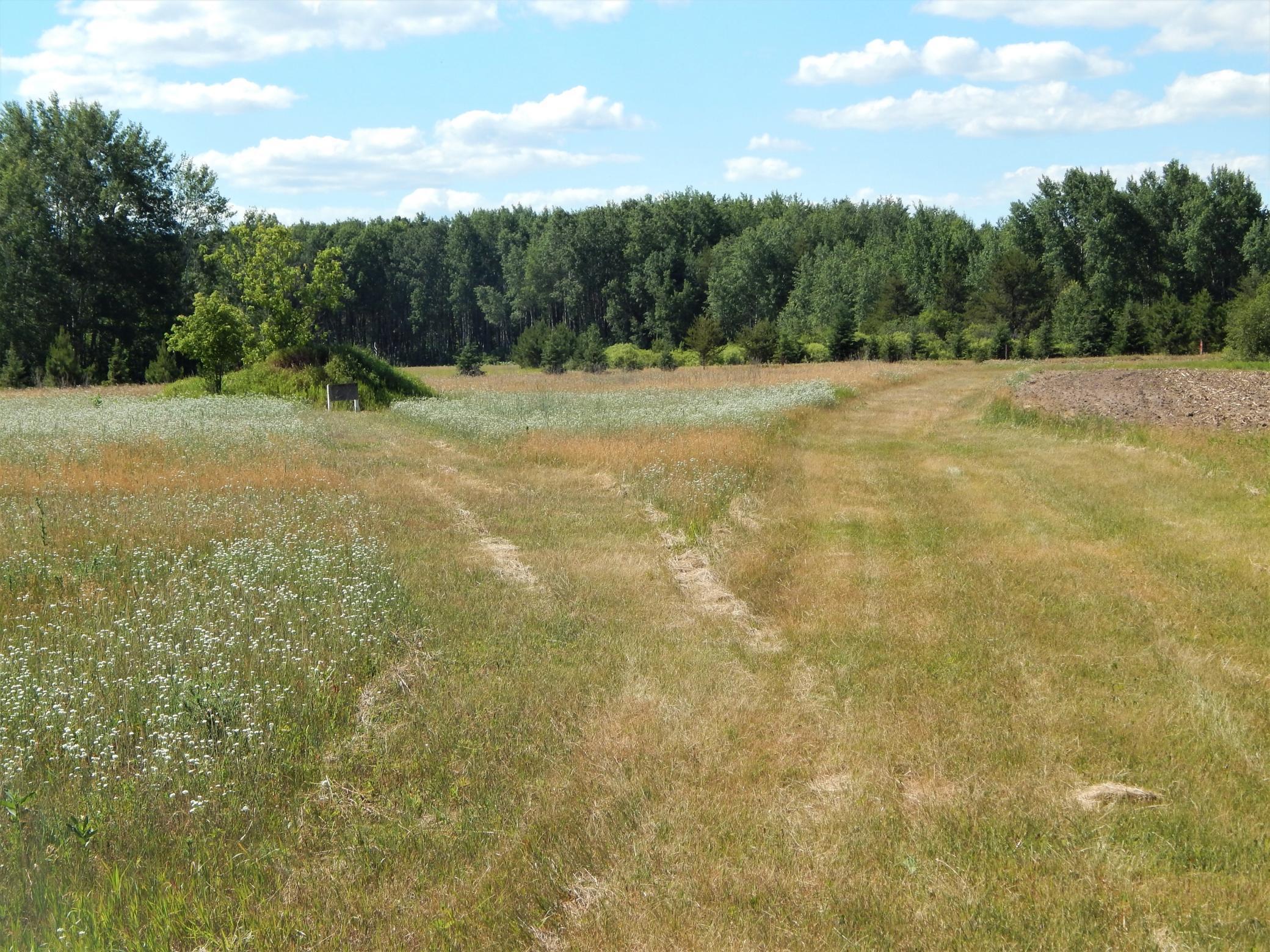 Tbd 20th Street Southwest Backus, MN 56435 - Photo 7 of 16