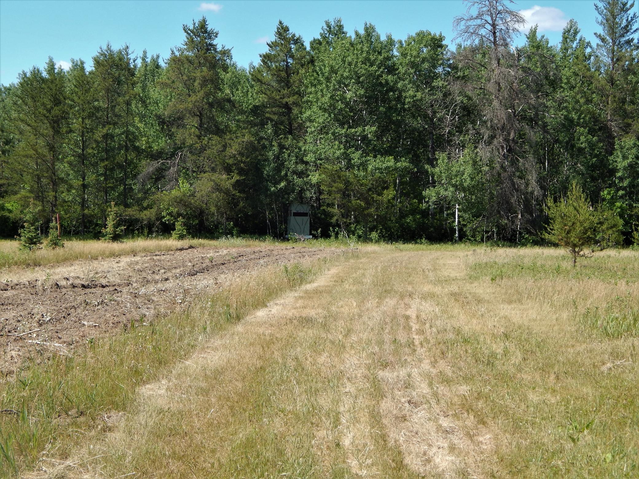 Tbd 20th Street Southwest Backus, MN 56435 - Photo 8 of 16