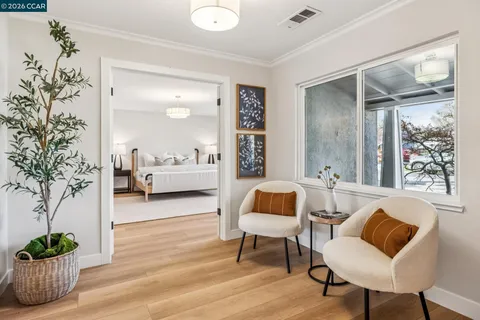 a living room with furniture and a potted plant