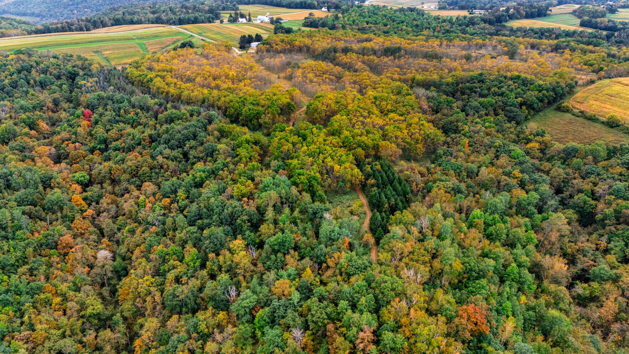 0 Betz Road Coon Valley, WI 54623 - Photo 1 of 1 43_DJI_20250919063204_0359_D_mls