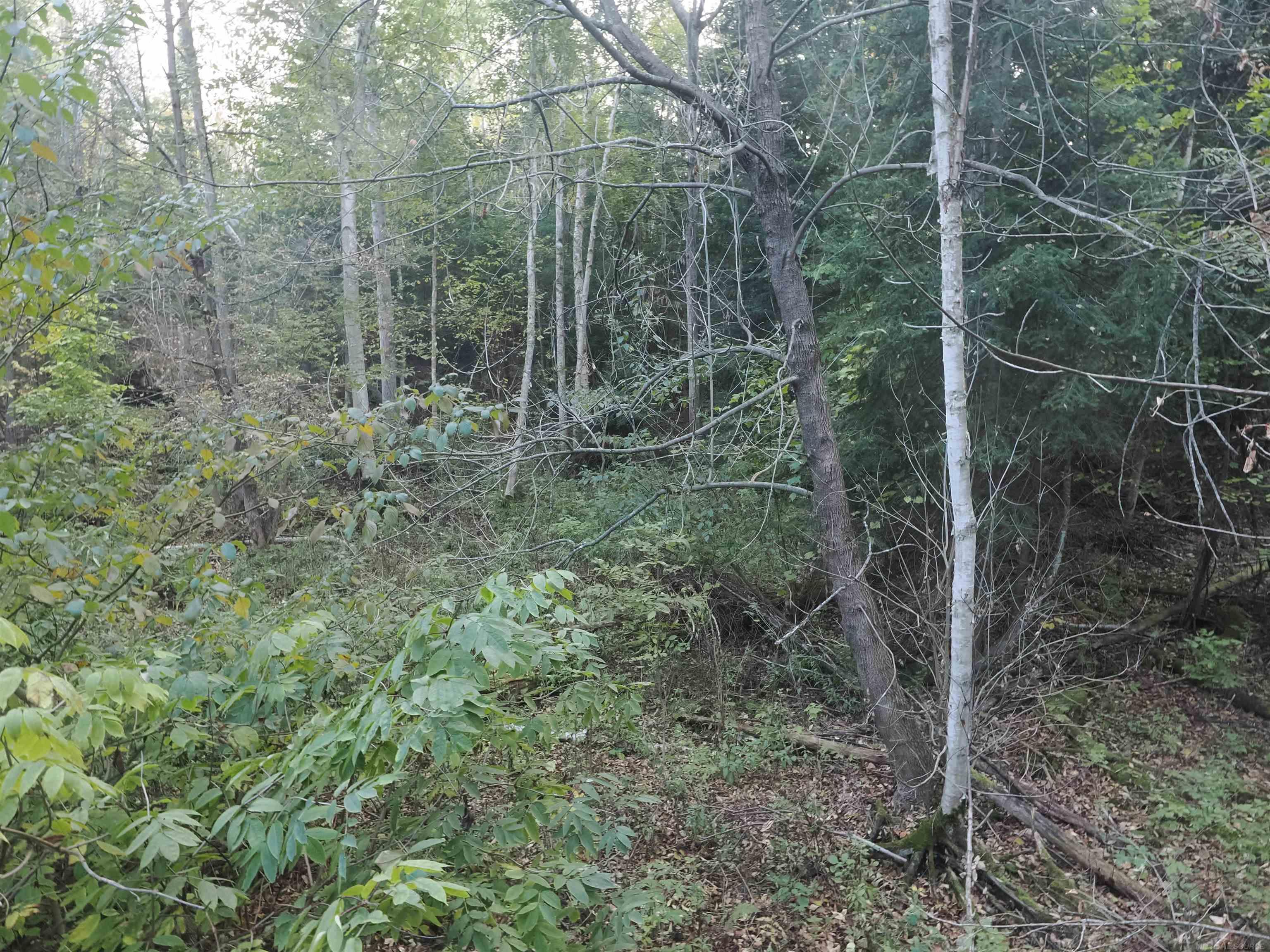 Xxx Tolan Road Spruce, MI 48762 - Photo 46 of 79