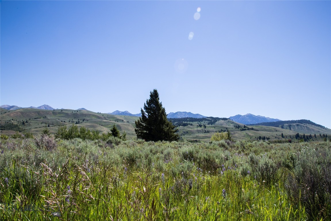 Lot 13 Sun West Ranch Cameron, MT 59720 - Photo 8 of 34 Gallery Image 8