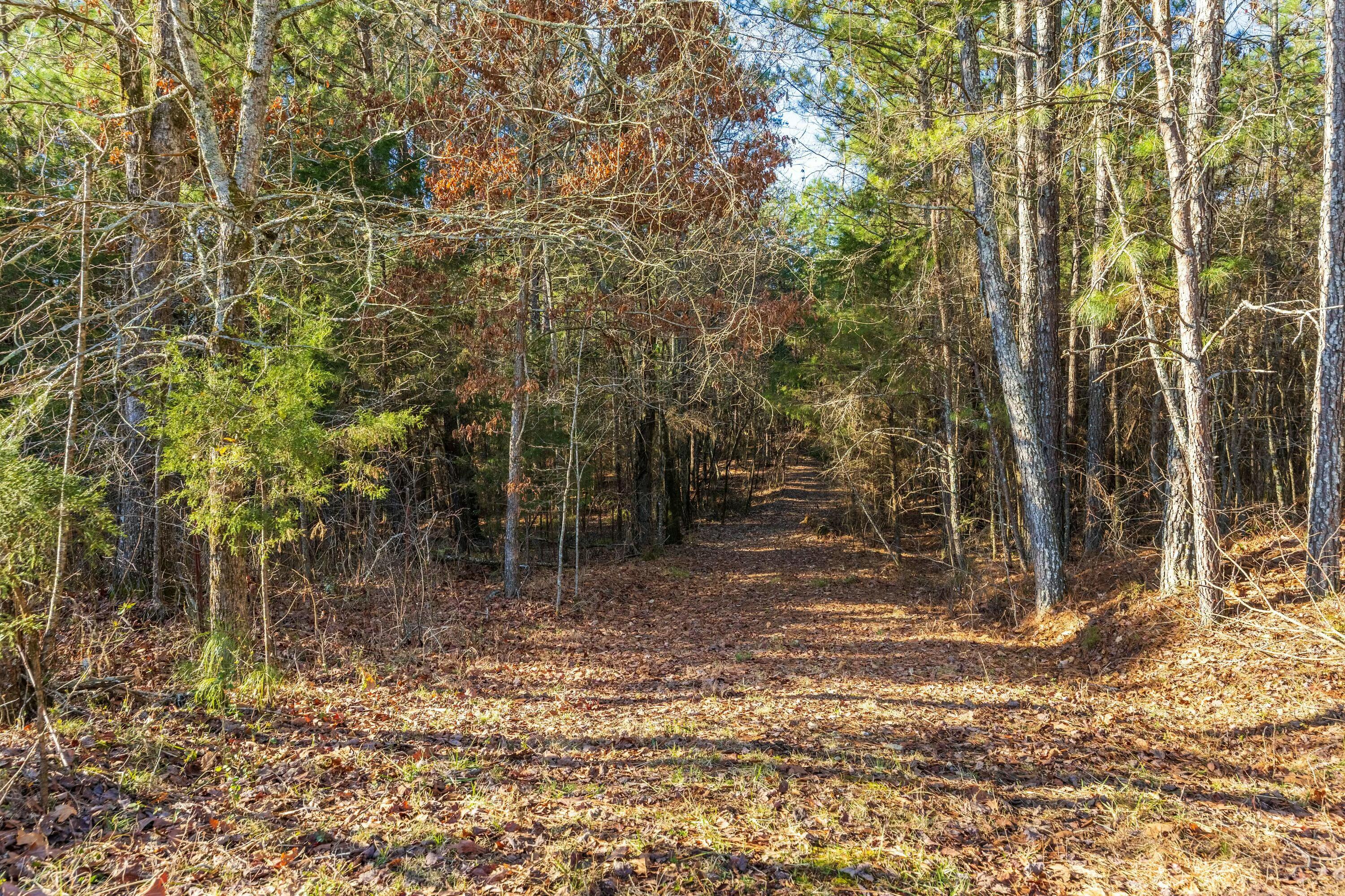 0 Georgetown Road Northwest Cleveland, TN 37312 - Photo 13 of 16 tempImageUvP85b