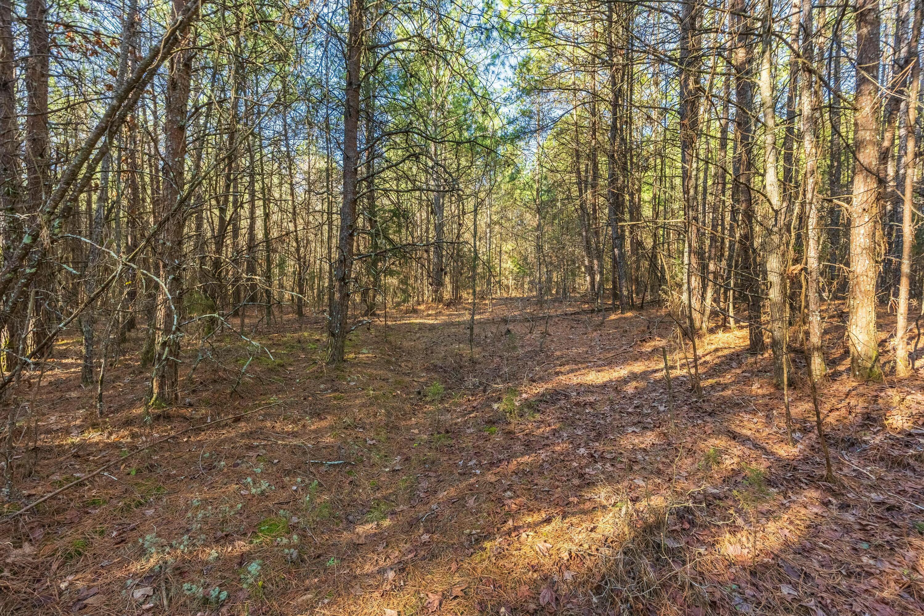 0 Georgetown Road Northwest Cleveland, TN 37312 - Photo 14 of 16 tempImageyo55aG