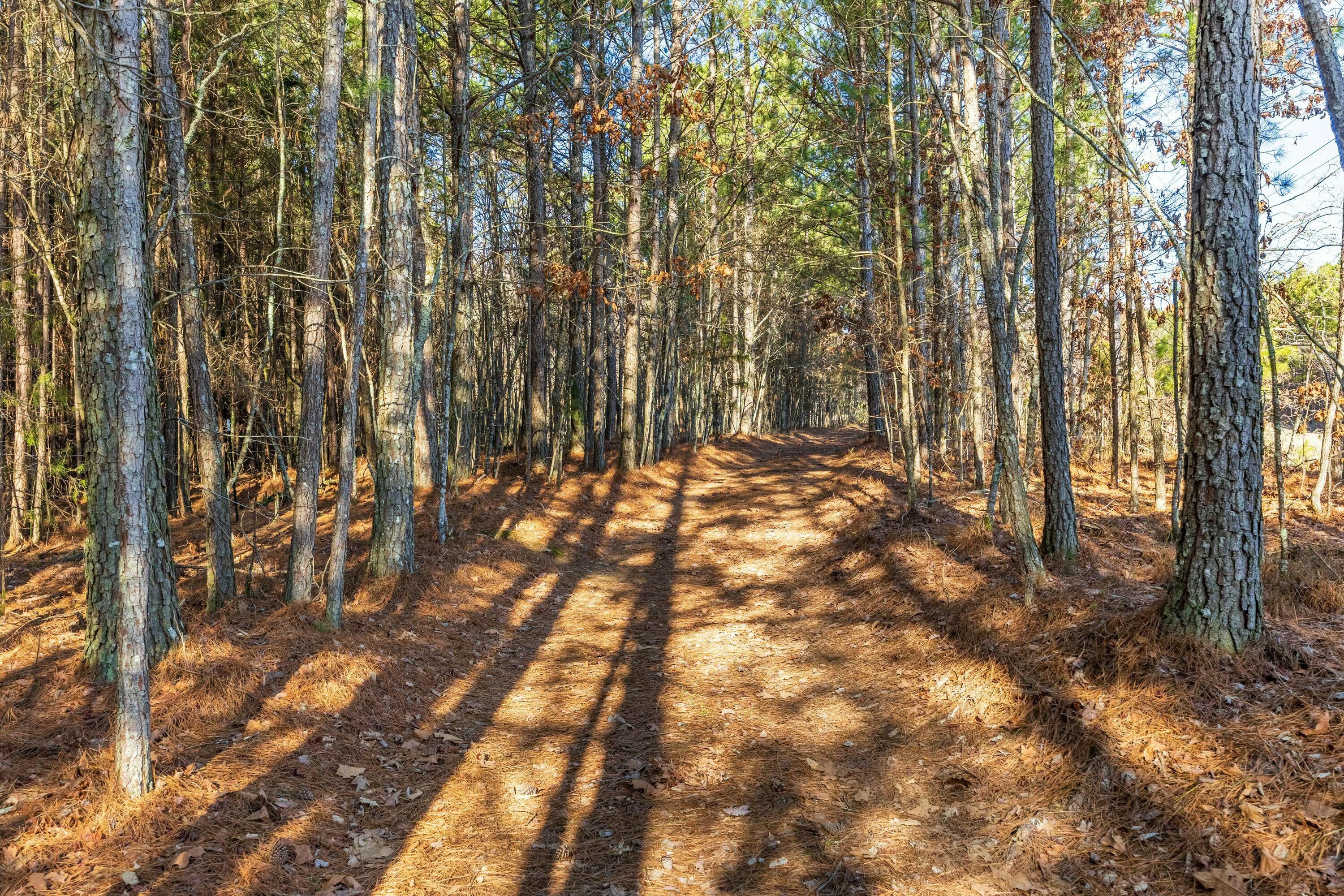 0 Georgetown Road Northwest Cleveland, TN 37312 - Photo 15 of 16 tempImage8Uk3Nx