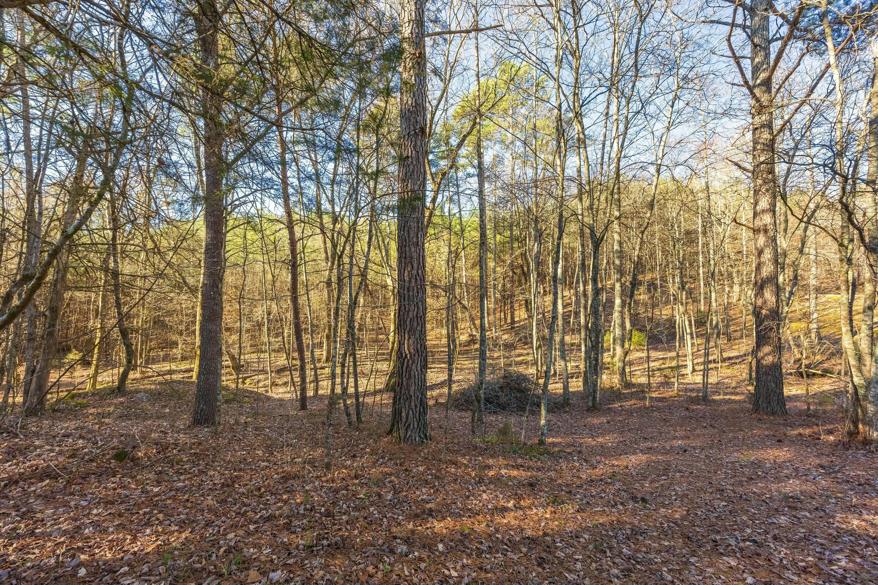 0 Georgetown Road Northwest Cleveland, TN 37312 - Photo 16 of 16 tempImageO7jhCi