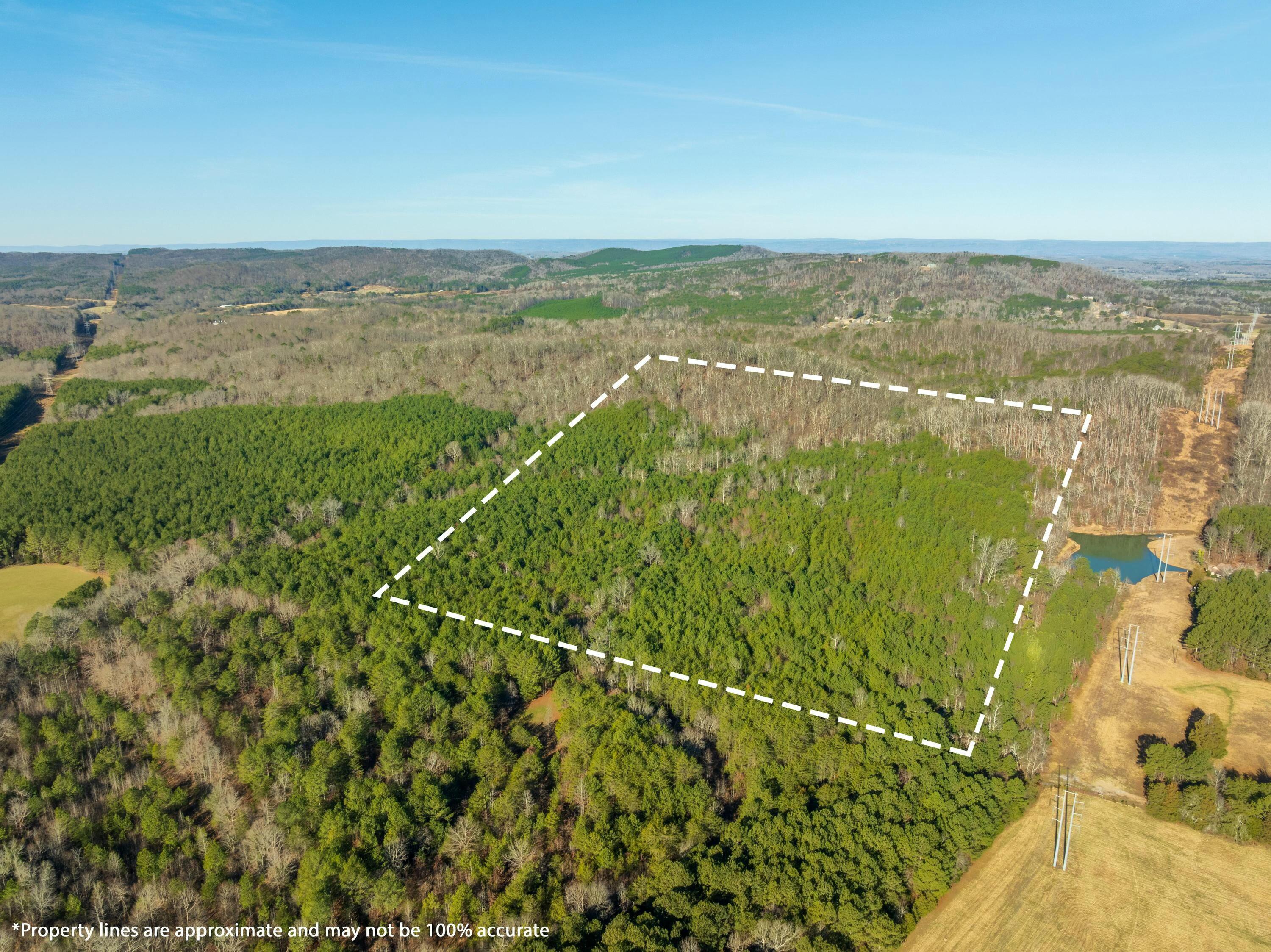 0 Georgetown Road Northwest Cleveland, TN 37312 - Photo 6 of 16 tempImageD8Xjey