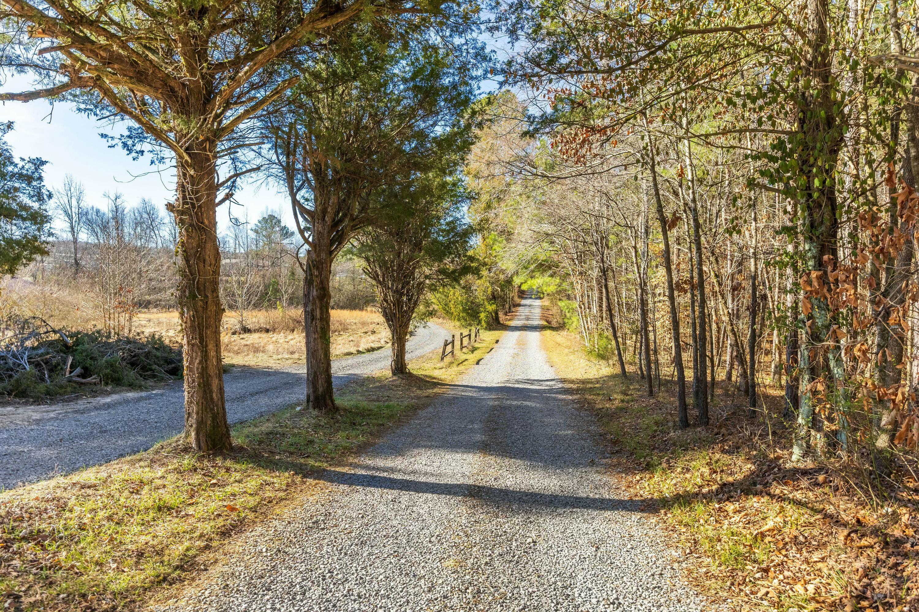 0 Georgetown Road Northwest Cleveland, TN 37312 - Photo 10 of 16 tempImagepKm7rF