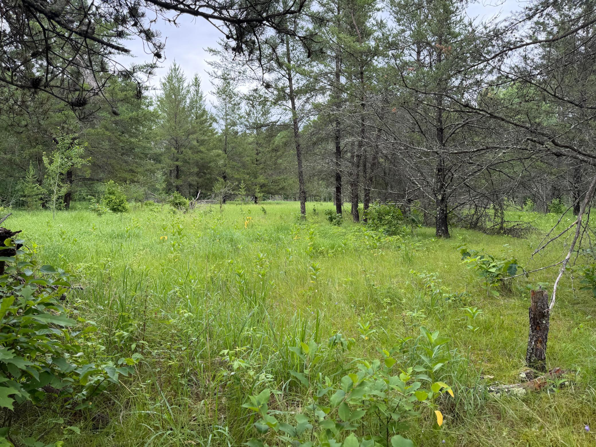 Tbd 350th Street Sebeka, MN 56477 - Photo 89 of 100