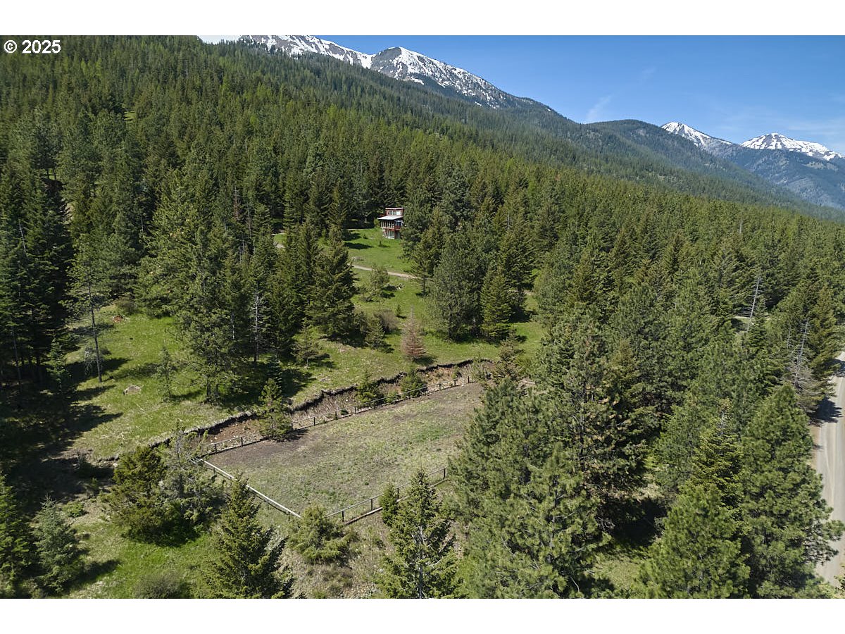 83863 Ollokot Lane Joseph, OR 97846 - Photo 22 of 25 a view of a lush green hillside and a mountain