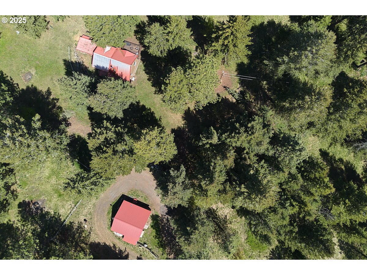 83863 Ollokot Lane Joseph, OR 97846 - Photo 24 of 25 a view of a yard