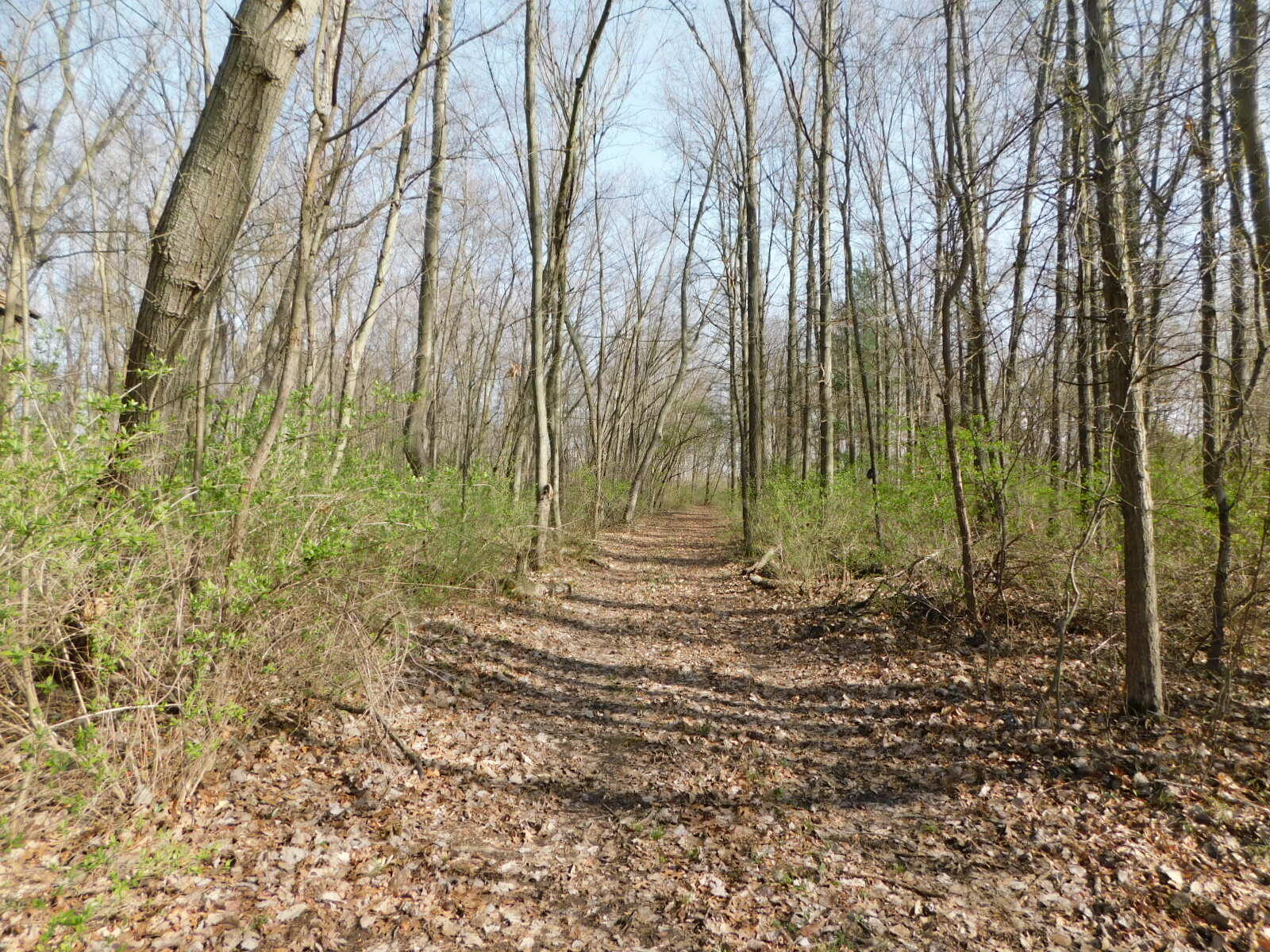 1976 Townline Road Benton Harbor, MI 49022 - Photo 16 of 28 DSCN7103
