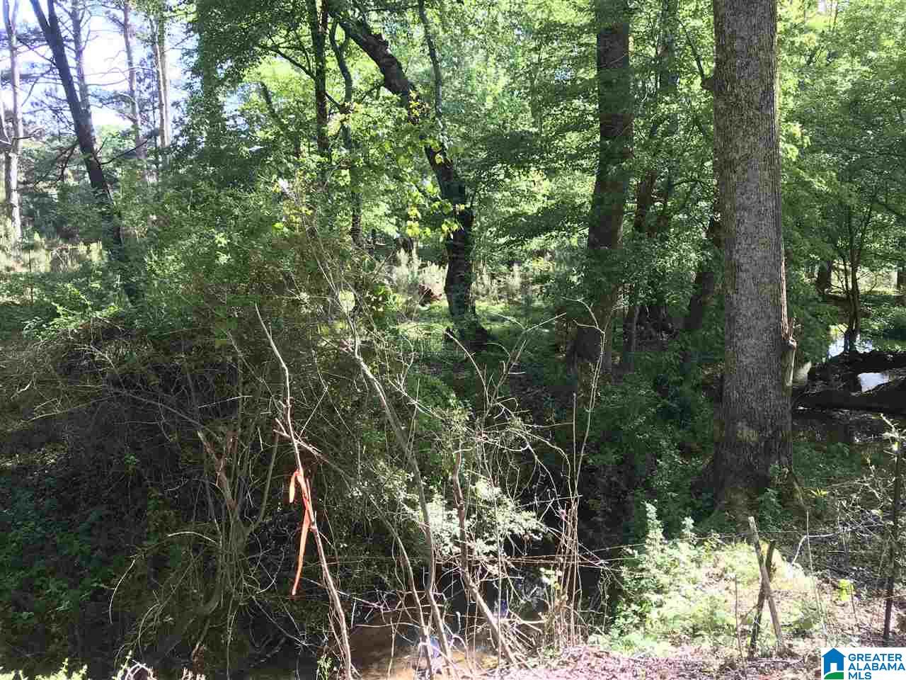 0 Steele Gap Road North, Unit 11 4 Steele, AL 35987 - Photo 10 of 26