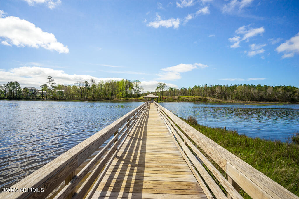 852 Crown Pointe Drive Hampstead, NC 28443 - Photo 53 of 70 699 Crown Pointe Dr-17
