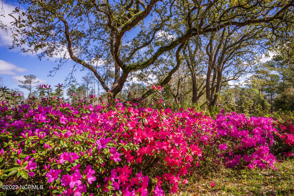 852 Crown Pointe Drive Hampstead, NC 28443 - Photo 67 of 70 699 Crown Pointe Dr-31