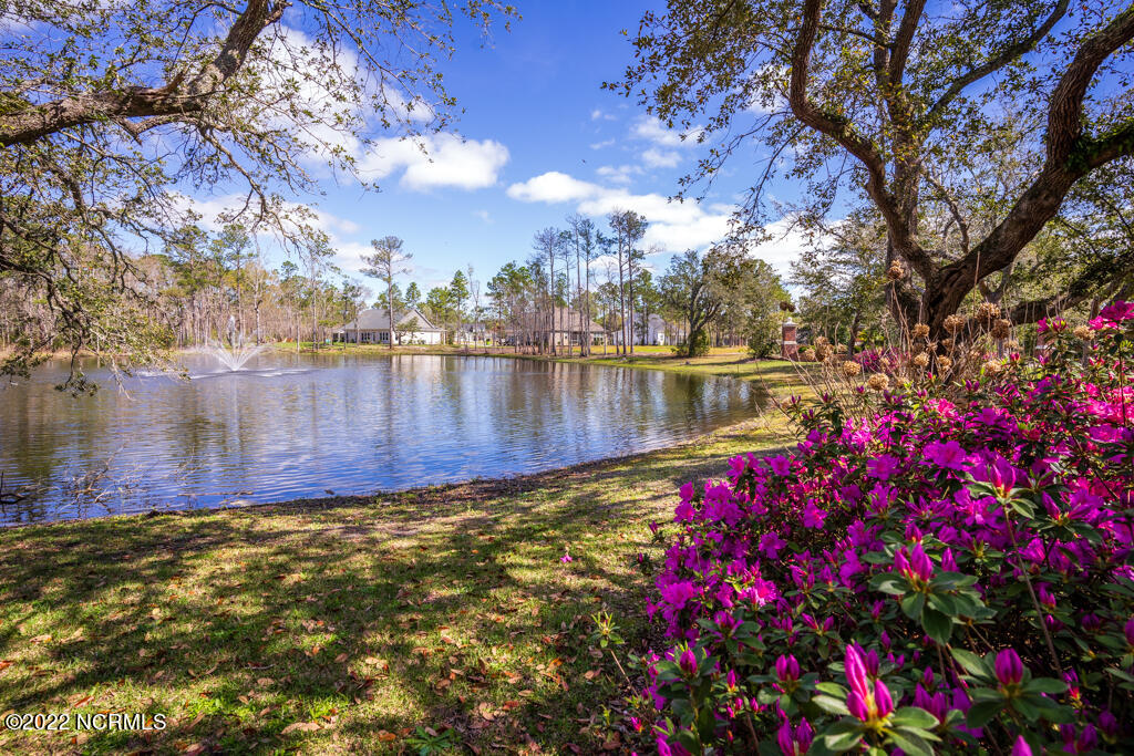 852 Crown Pointe Drive Hampstead, NC 28443 - Photo 68 of 70 699 Crown Pointe Dr-32