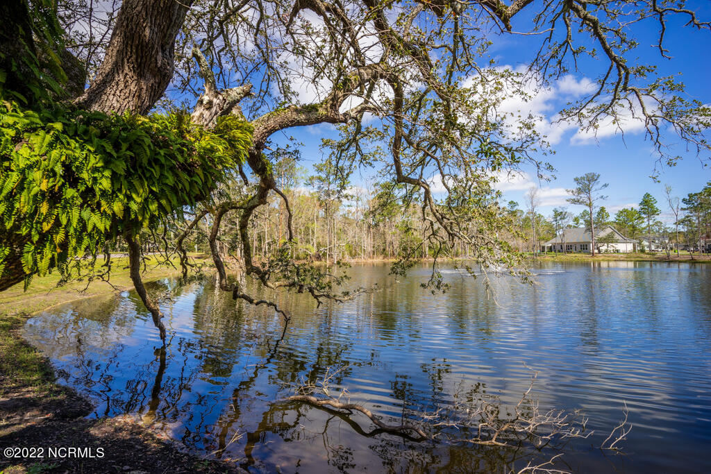 852 Crown Pointe Drive Hampstead, NC 28443 - Photo 69 of 70 699 Crown Pointe Dr-33