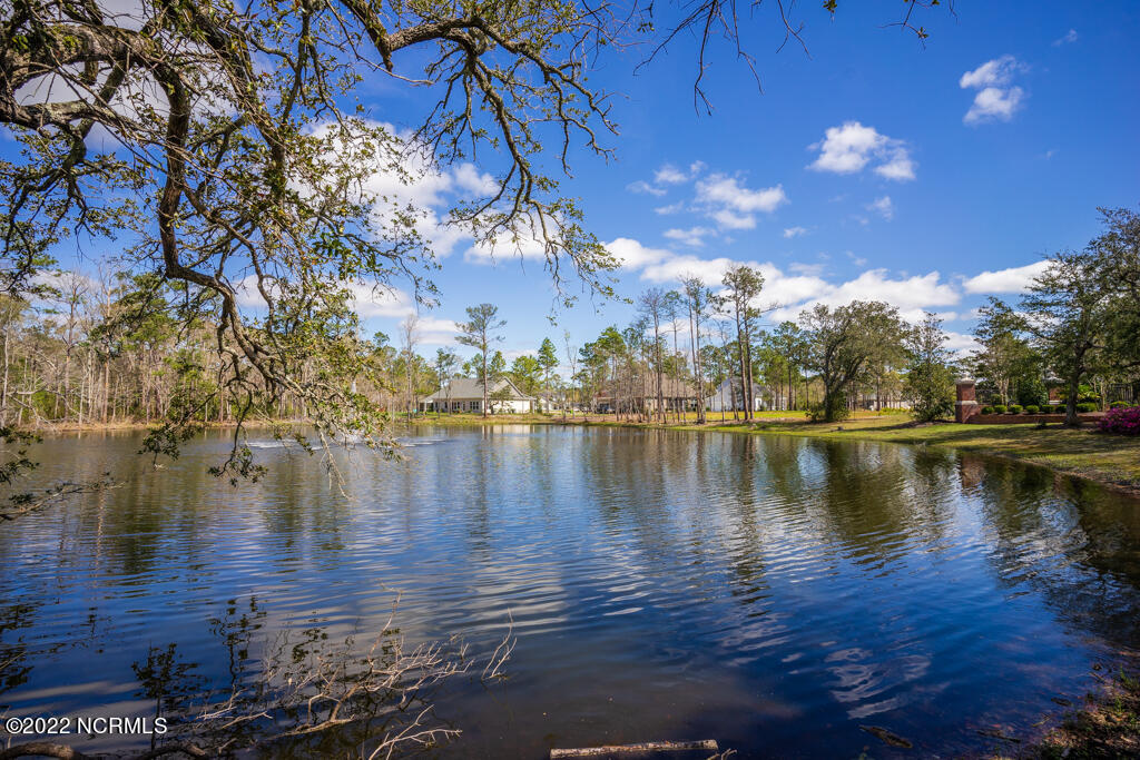 852 Crown Pointe Drive Hampstead, NC 28443 - Photo 70 of 70 699 Crown Pointe Dr-34