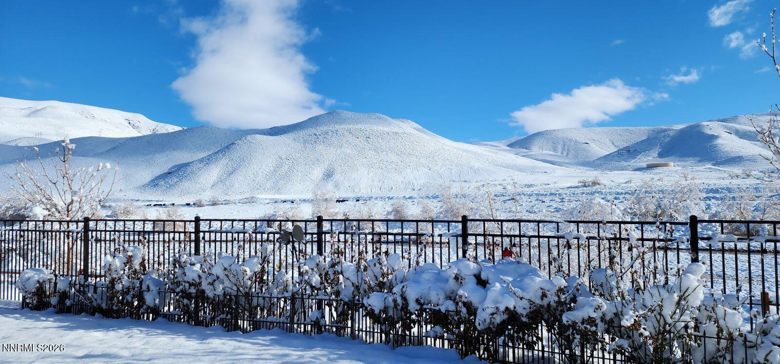 9728 Silverspar Street Reno, NV 89521 - Photo 20 of 22 Winter View