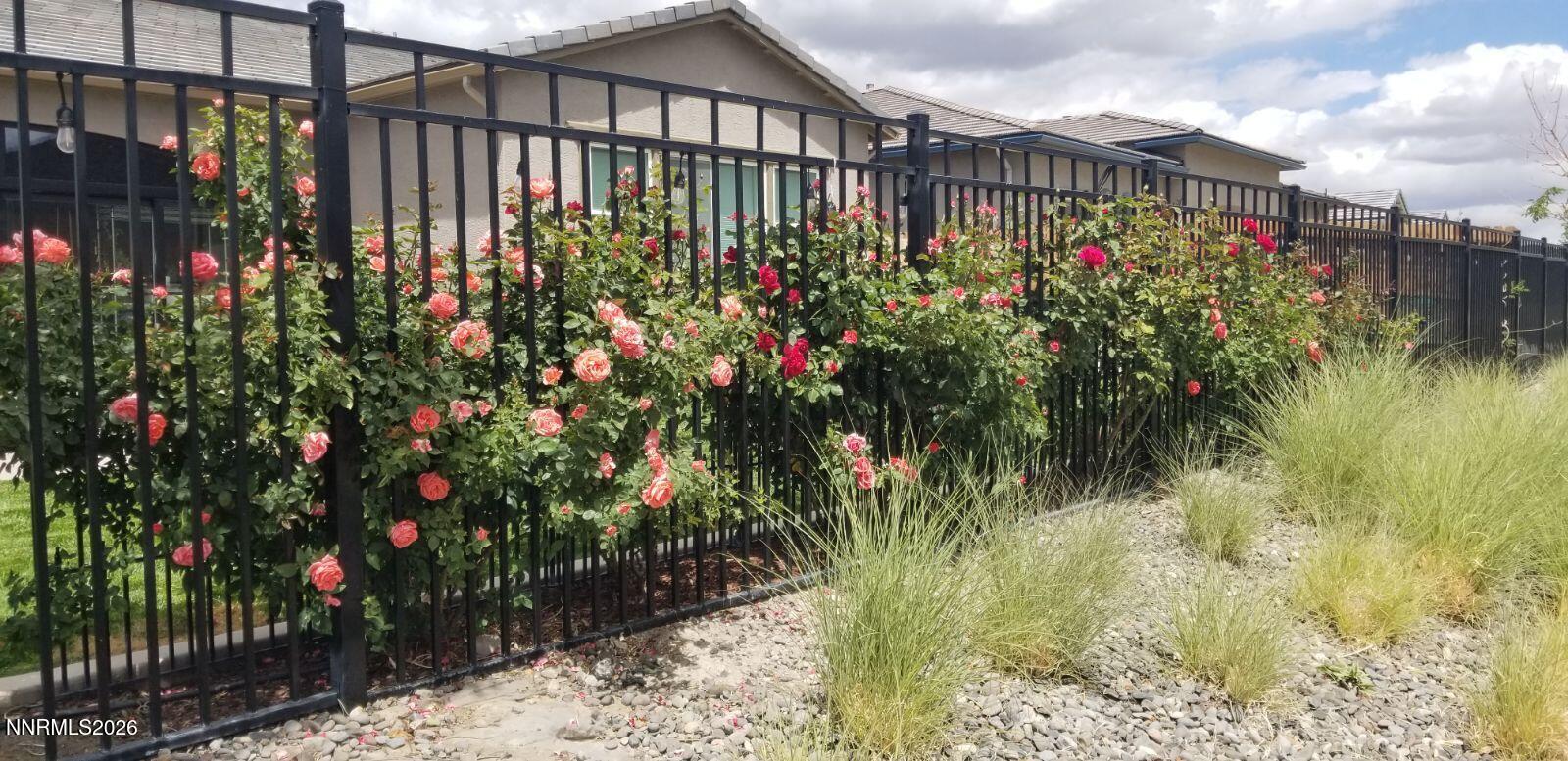 9728 Silverspar Street Reno, NV 89521 - Photo 21 of 22 roses