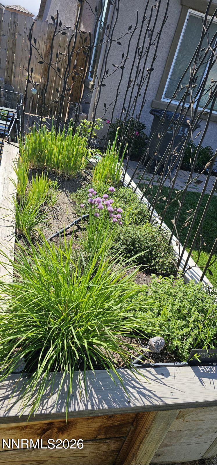 9728 Silverspar Street Reno, NV 89521 - Photo 22 of 22 Herb garden