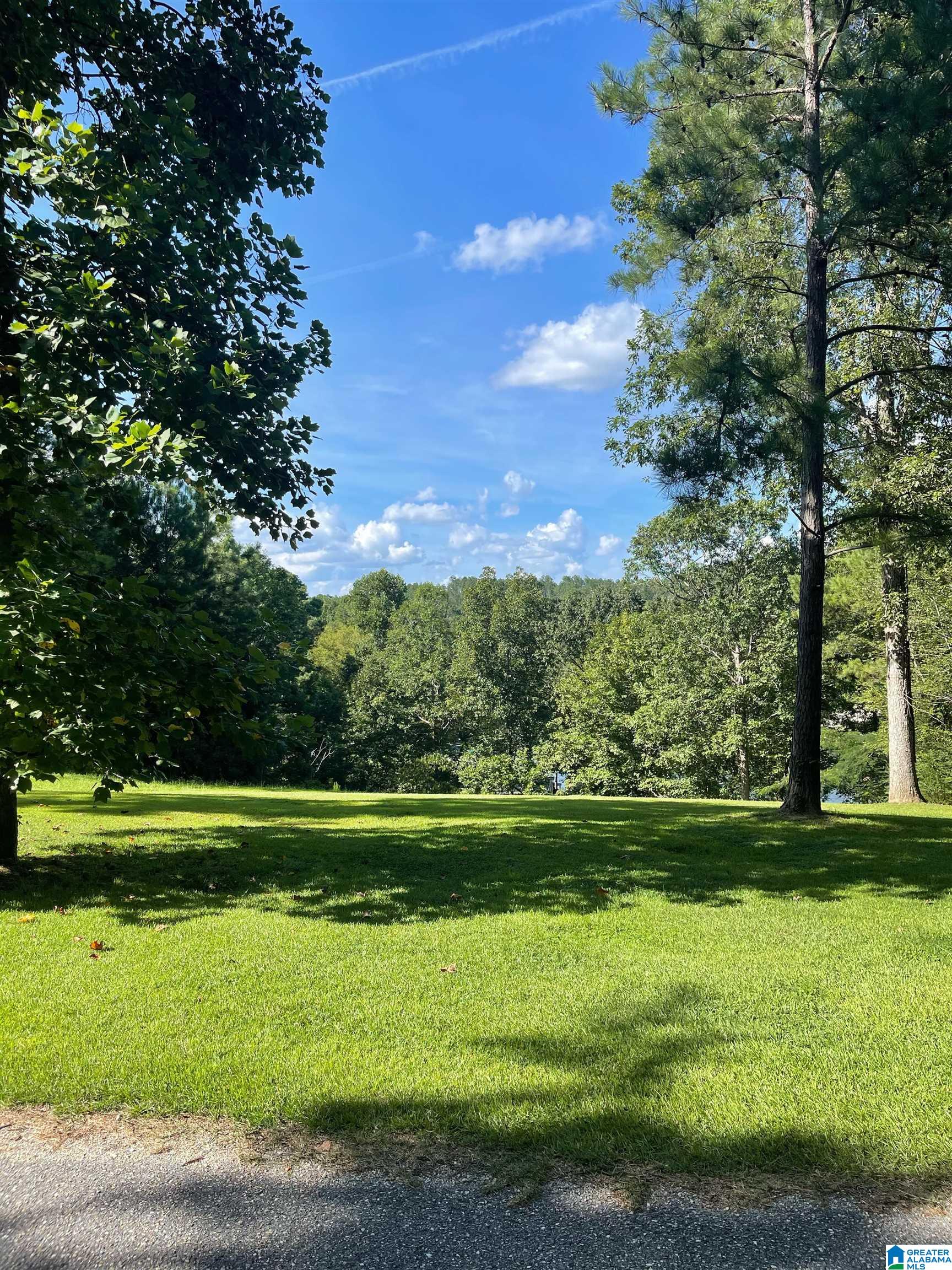 1 Ridge Drive Shelby, AL 35143 - Photo 4 of 5