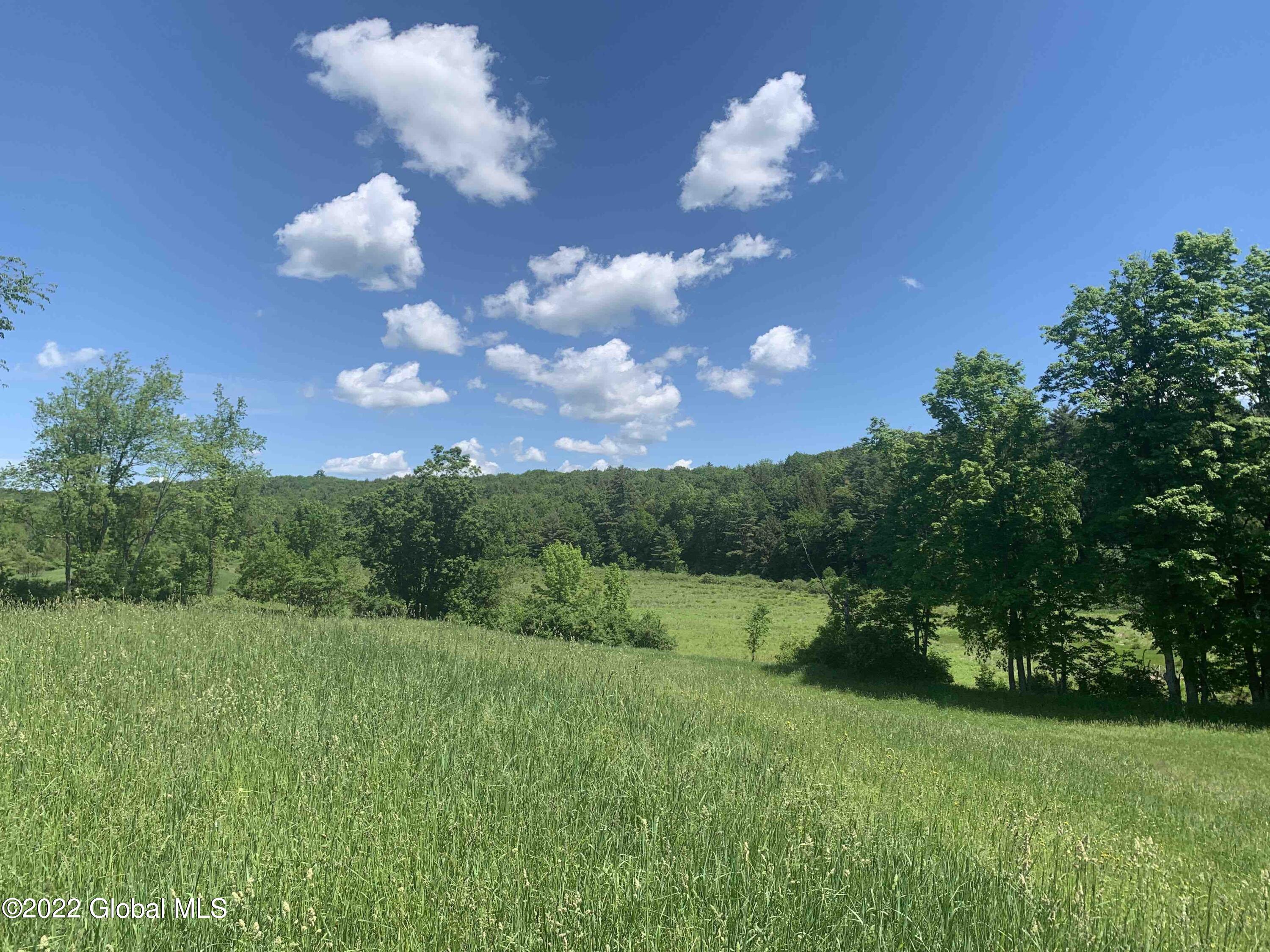 0 County Rte 12 Granville, NY 12832 - Photo 15 of 46 Cohen284-14