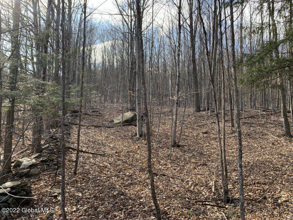 0 County Rte 12 Granville, NY 12832 - Photo 41 of 46 IMG_7861-1024x768
