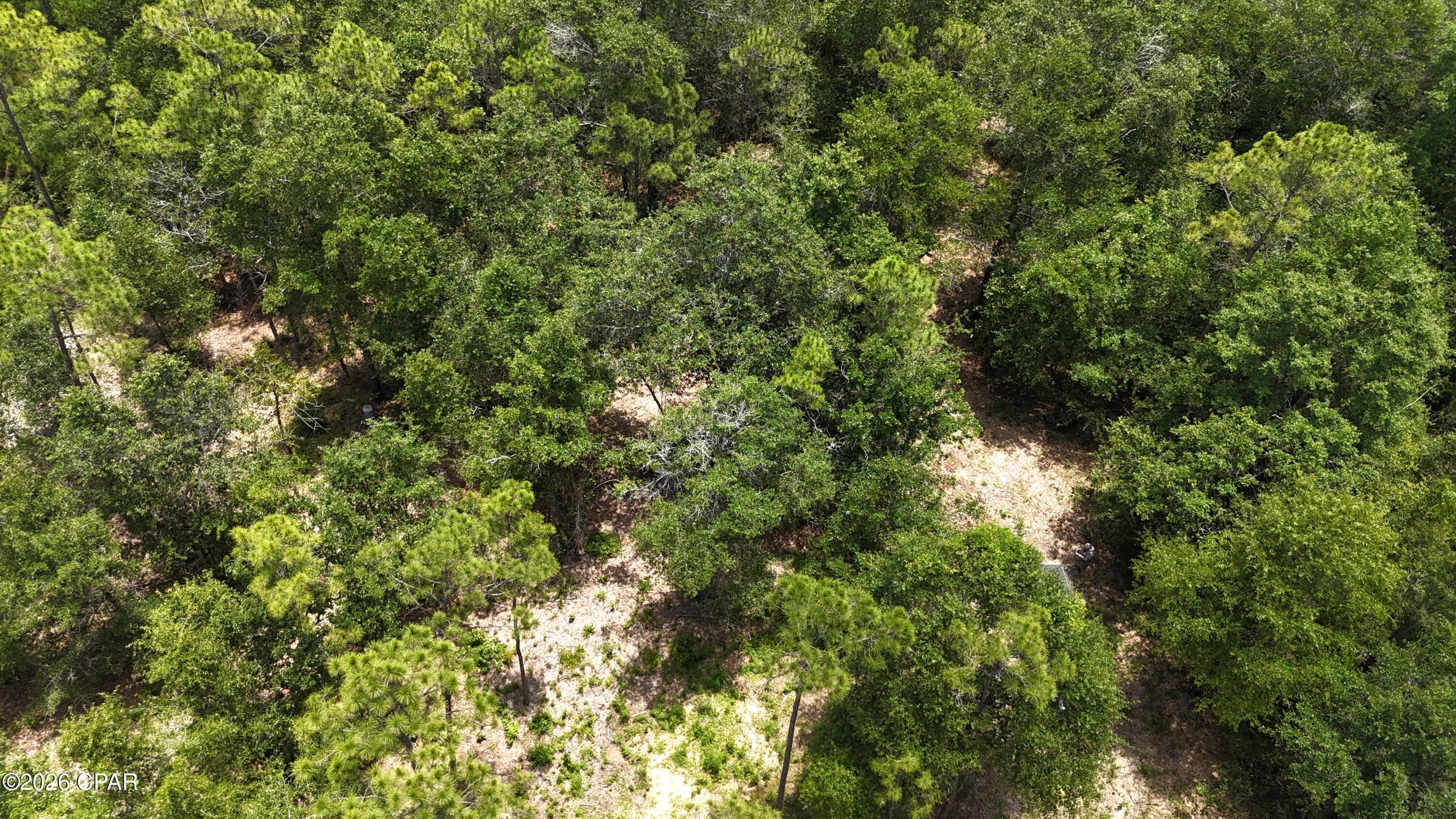 20429 Fettinger Road Fountain, FL 32438 - Photo 8 of 23 Gallery Image 8