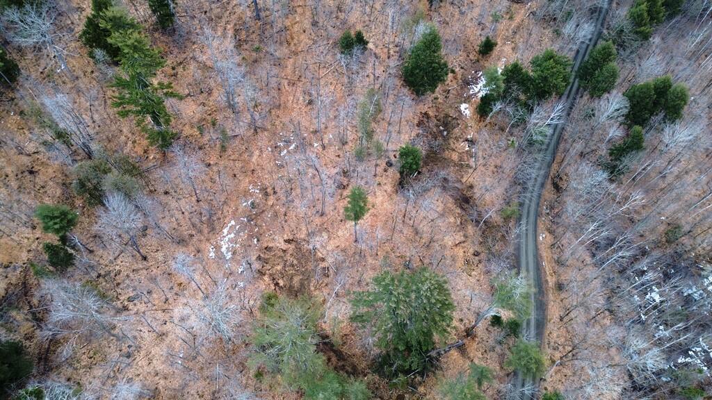 Lot 6 Peterson Road Dover-Foxcroft, ME 04426 - Photo 11 of 21 DJI_0023