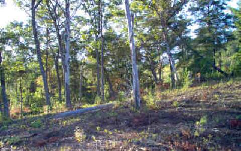 Lot 5 Sunshine Mountain Blue Ridge, GA 30513 - Photo 1 of 1 Main View