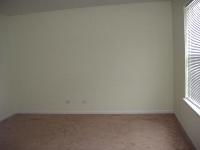 4345 Timber Ridge Court Joliet, IL 60431 - Photo 9 of 17