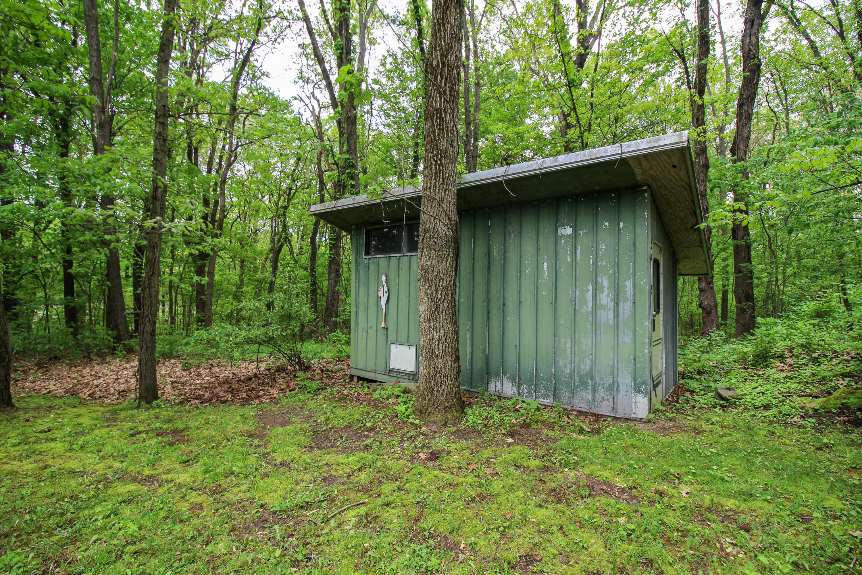 11111 Born Street Three Rivers, MI 49093 - Photo 56 of 65 Born-25