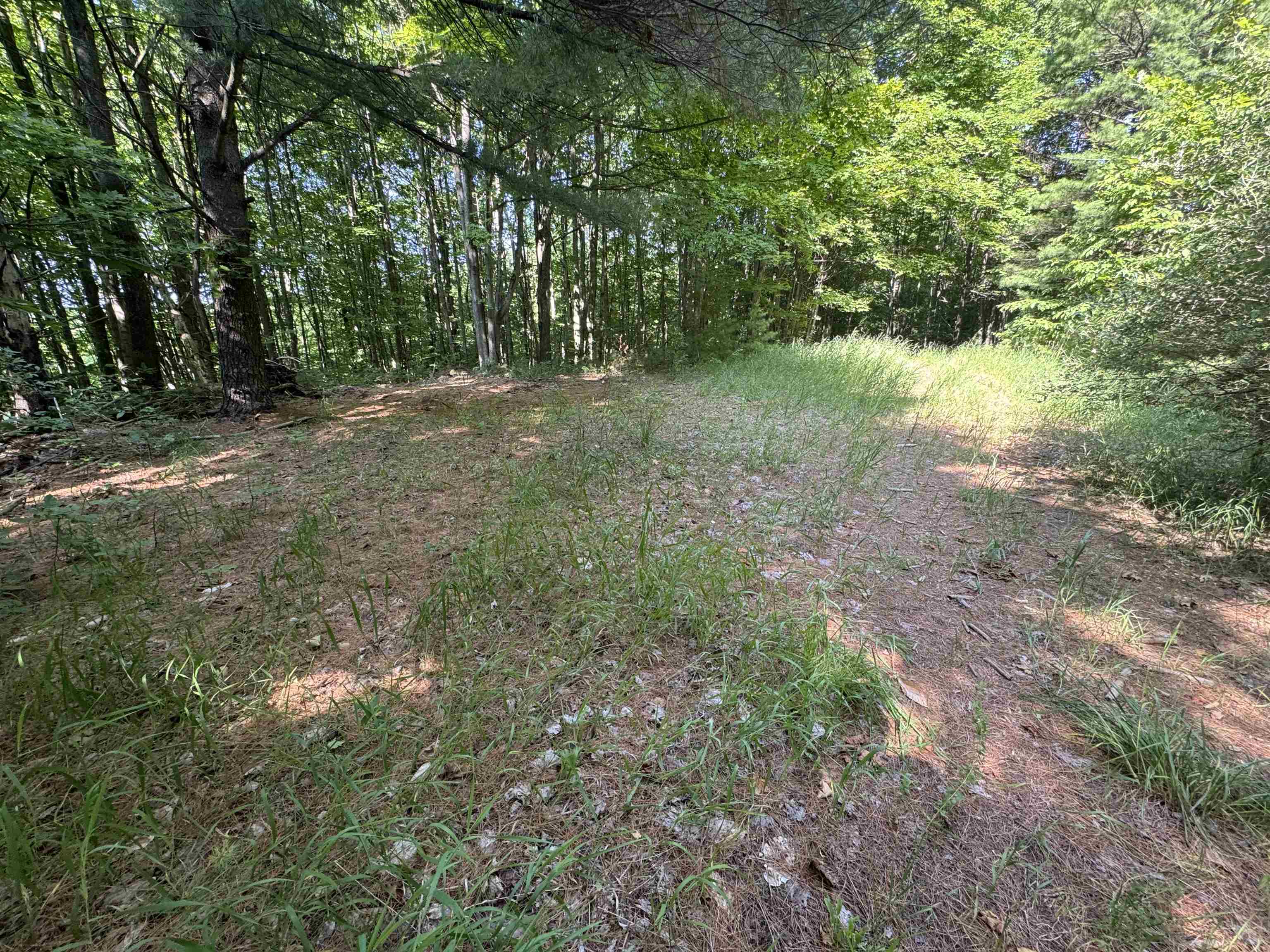 Lot #6 East Bellinger Road, Unit 6 BELLINGER ESTATES (FIN) Cedar, MI 49621 - Photo 15 of 34