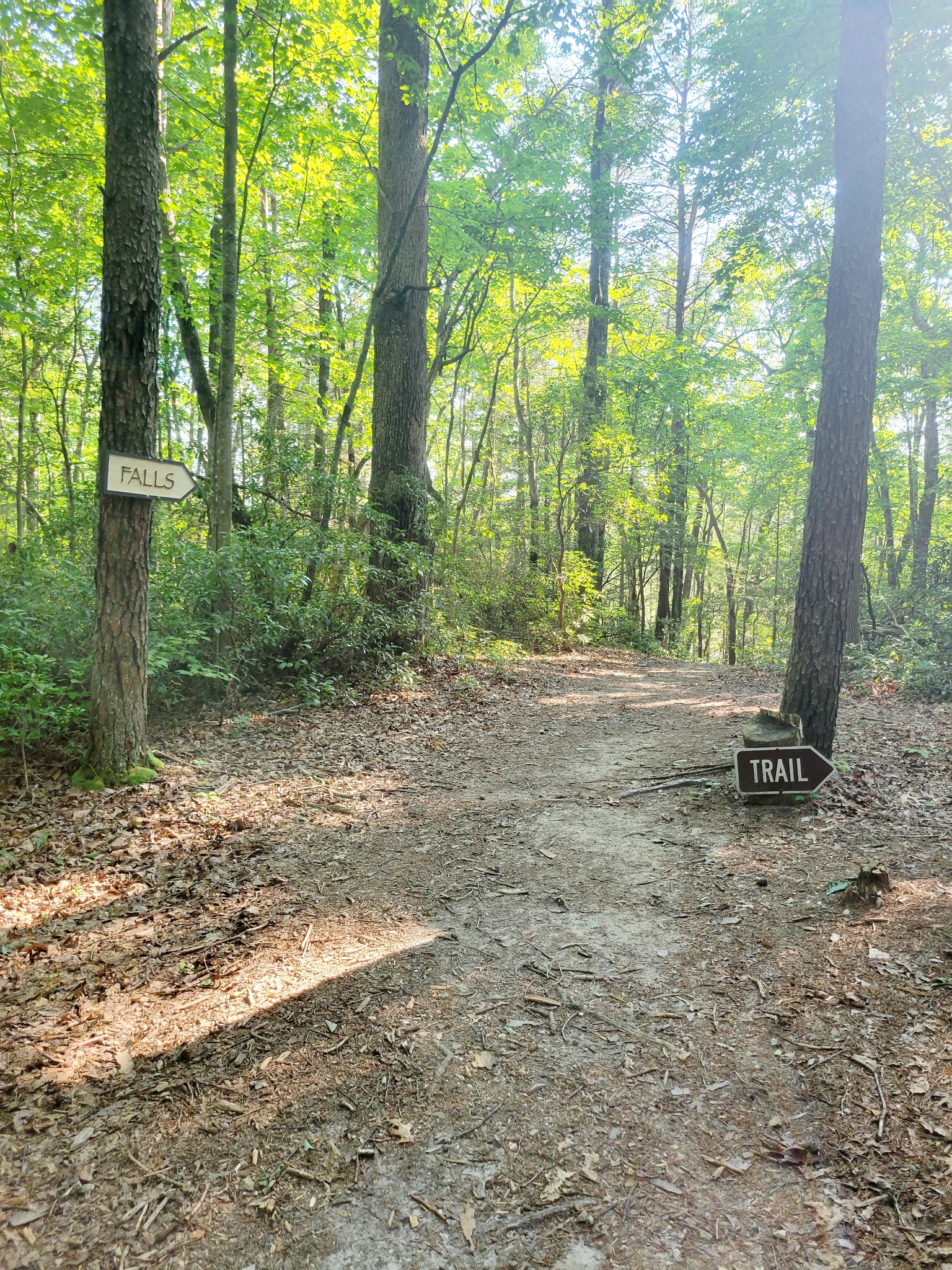 84 Sunset Bluff Monteagle, TN 37356 - Photo 13 of 22