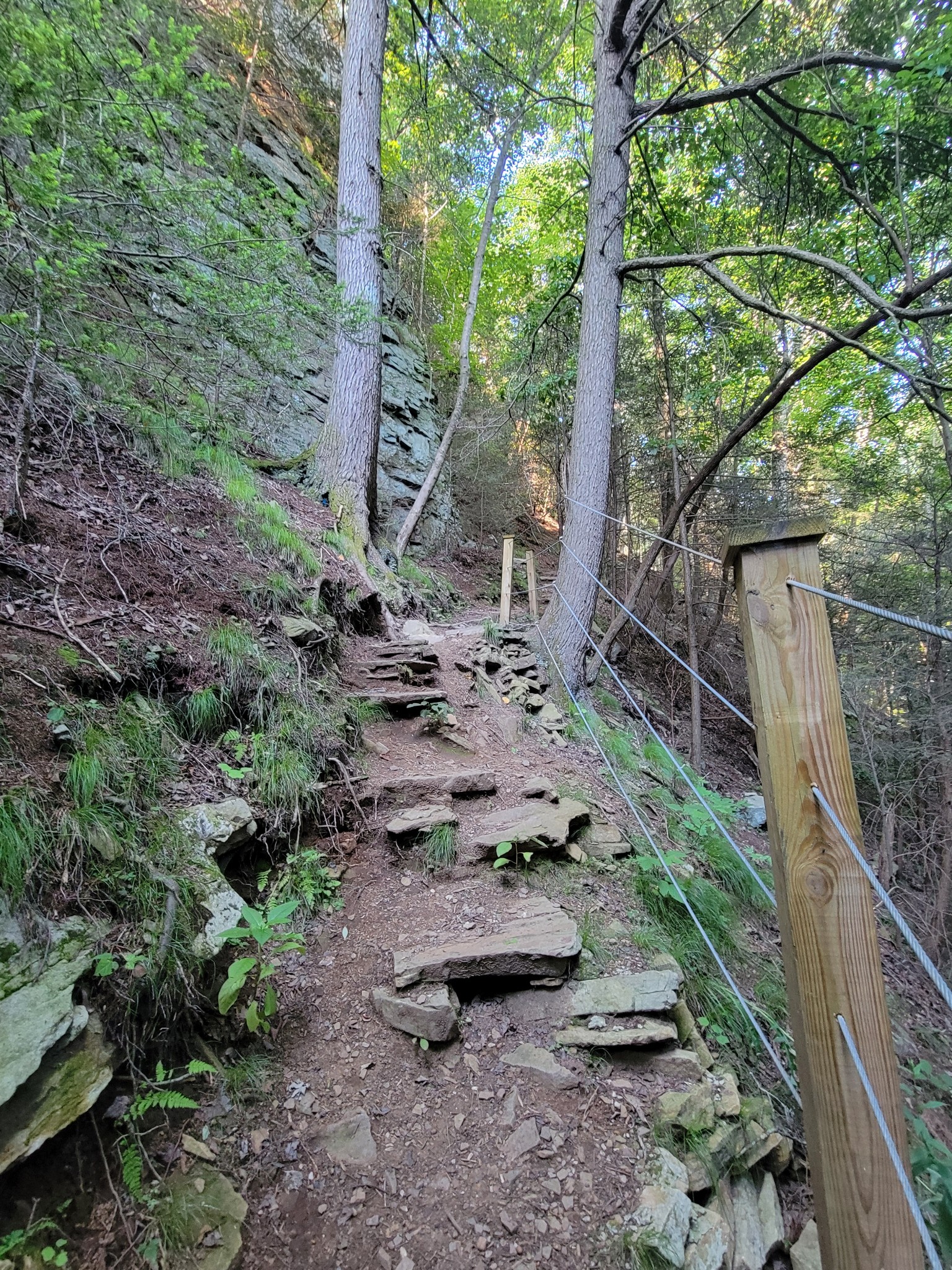 84 Sunset Bluff Monteagle, TN 37356 - Photo 15 of 22 a view of a backyard with plants and large trees