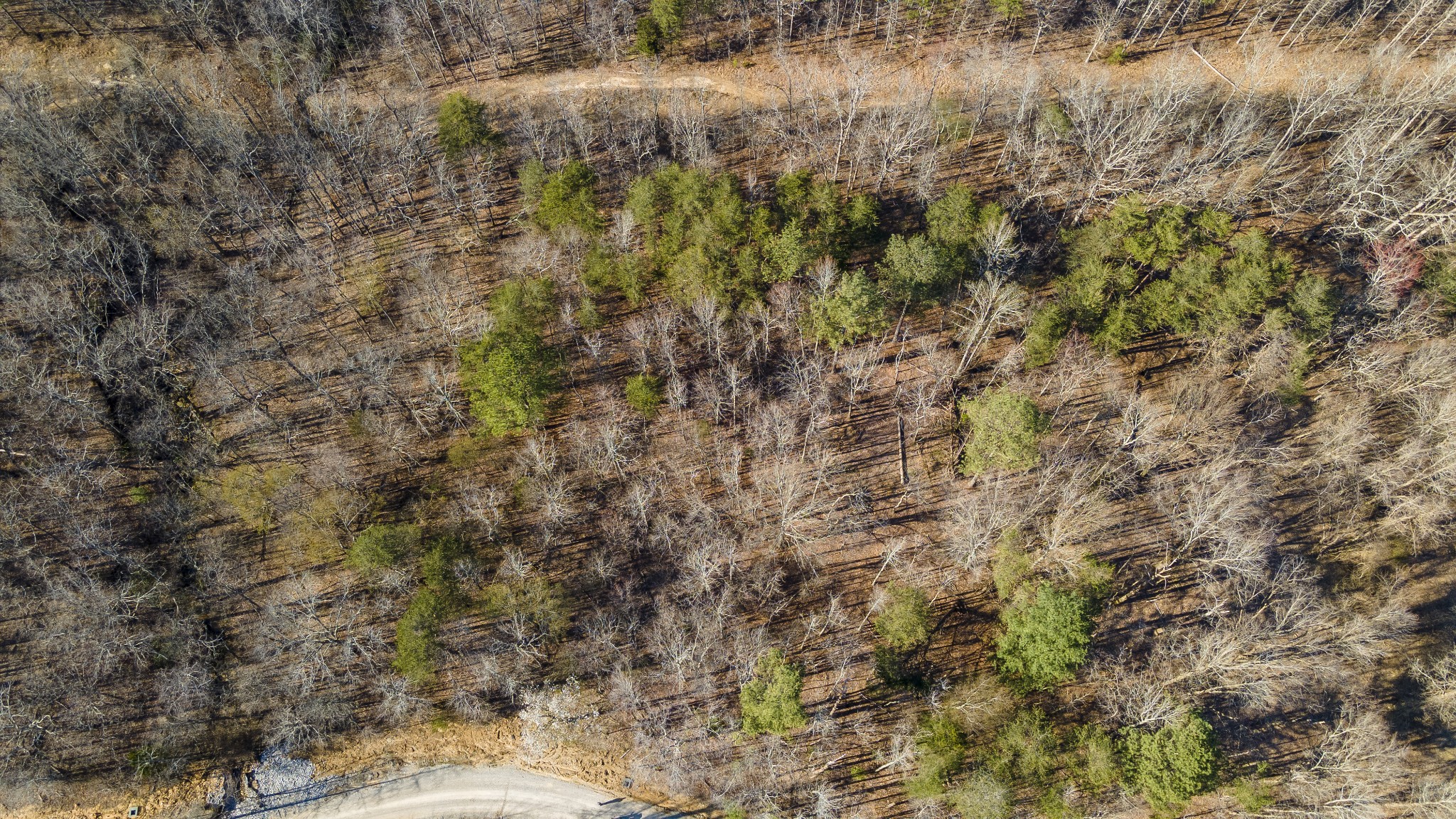 84 Sunset Bluff Monteagle, TN 37356 - Photo 19 of 22