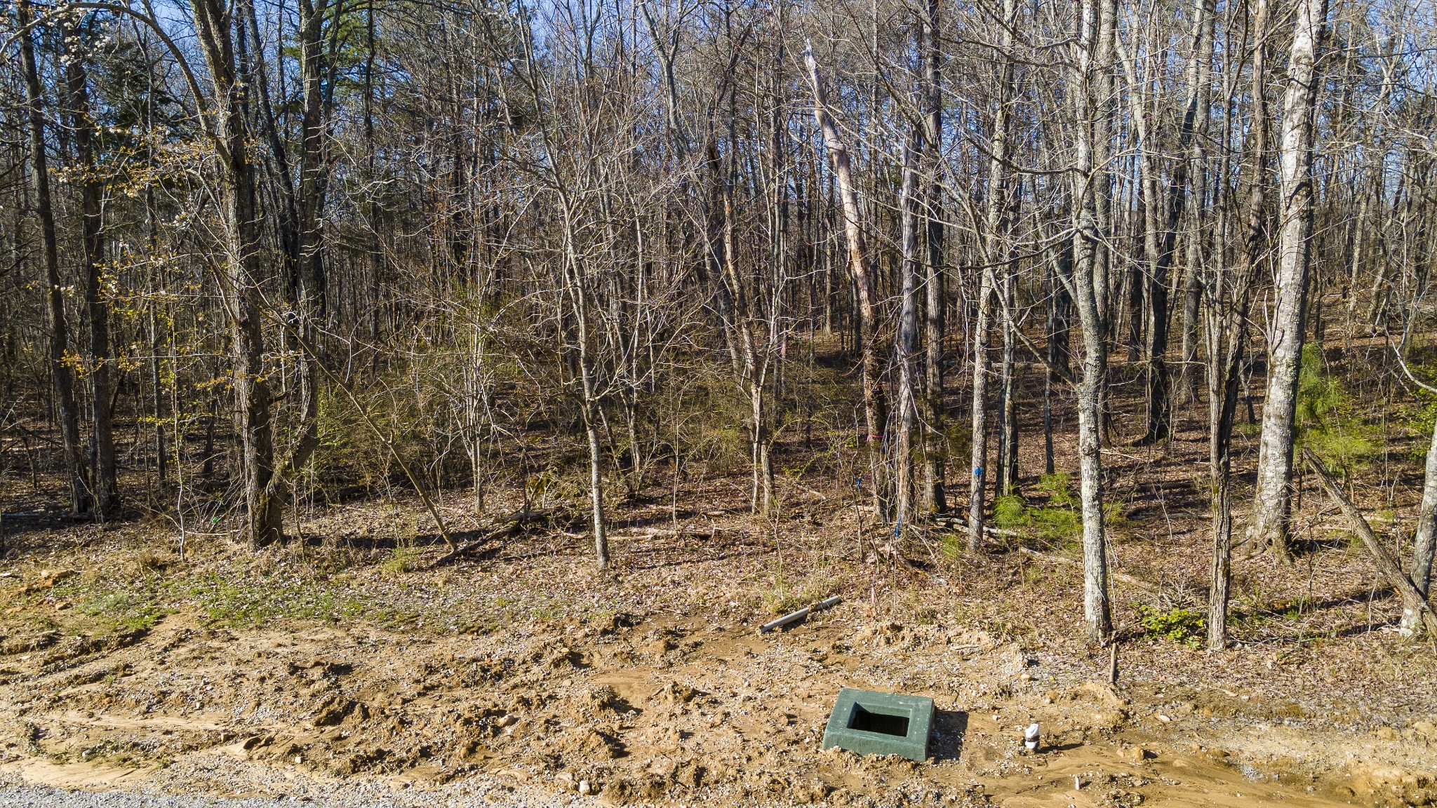 84 Sunset Bluff Monteagle, TN 37356 - Photo 20 of 22 a backyard of a house with lots of green space and sink