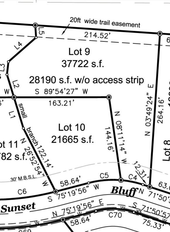 84 Sunset Bluff Monteagle, TN 37356 - Photo 2 of 22