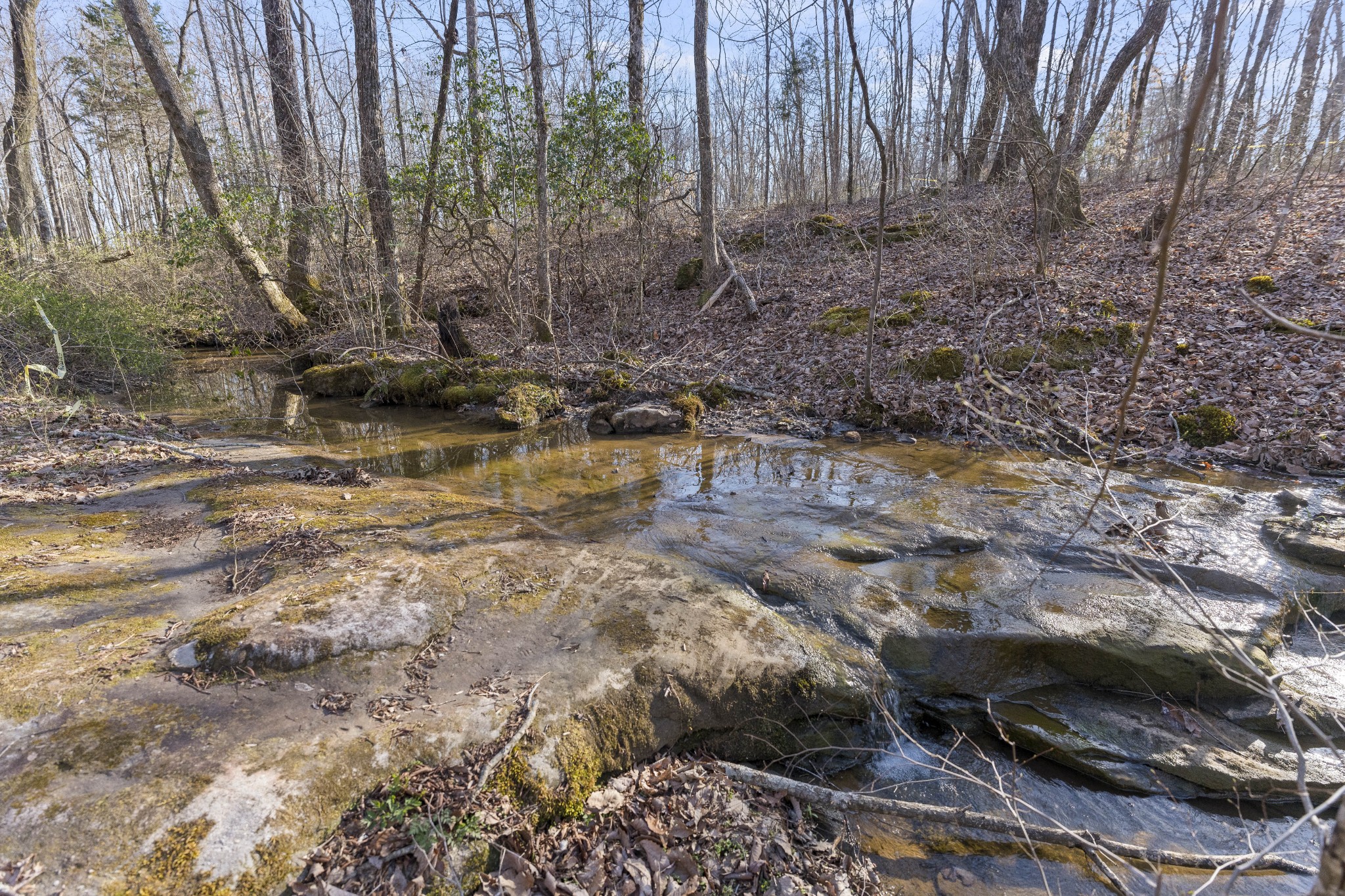 84 Sunset Bluff Monteagle, TN 37356 - Photo 21 of 22 a view of a backyard of the house