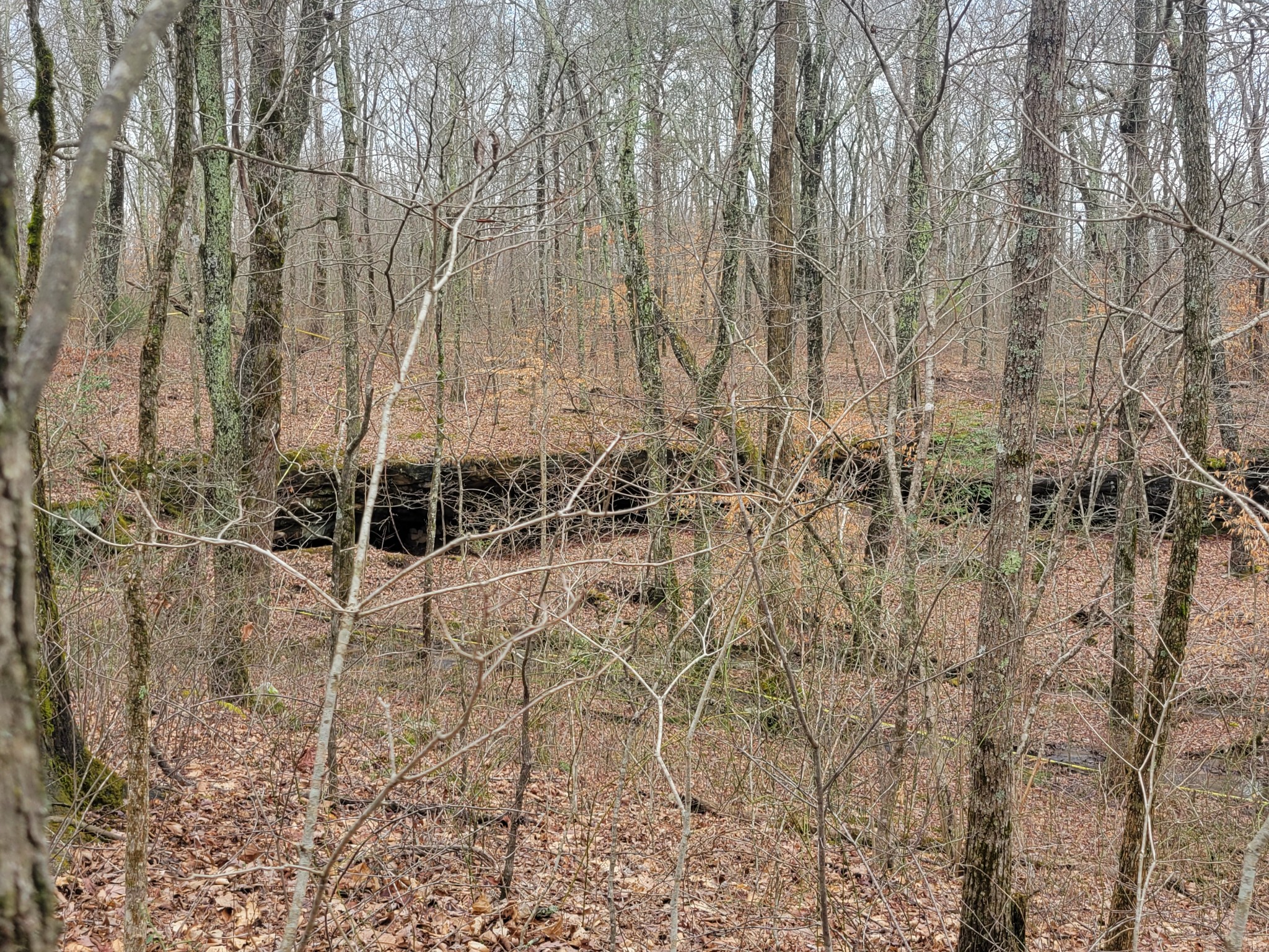 84 Sunset Bluff Monteagle, TN 37356 - Photo 22 of 22