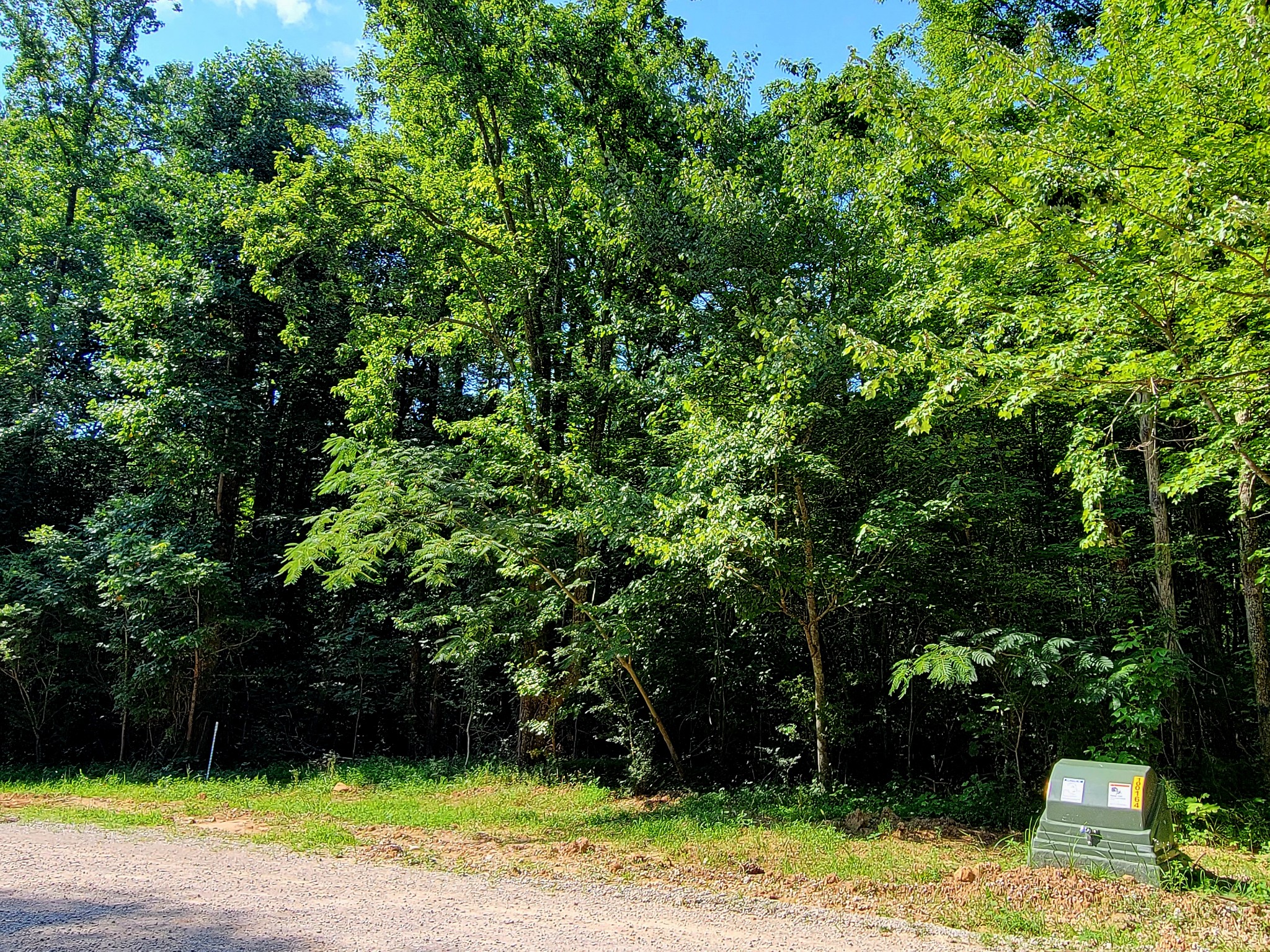 84 Sunset Bluff Monteagle, TN 37356 - Photo 3 of 22