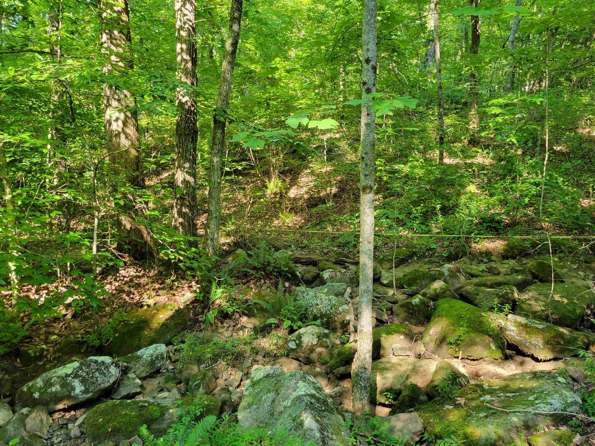 84 Sunset Bluff Monteagle, TN 37356 - Photo 6 of 22