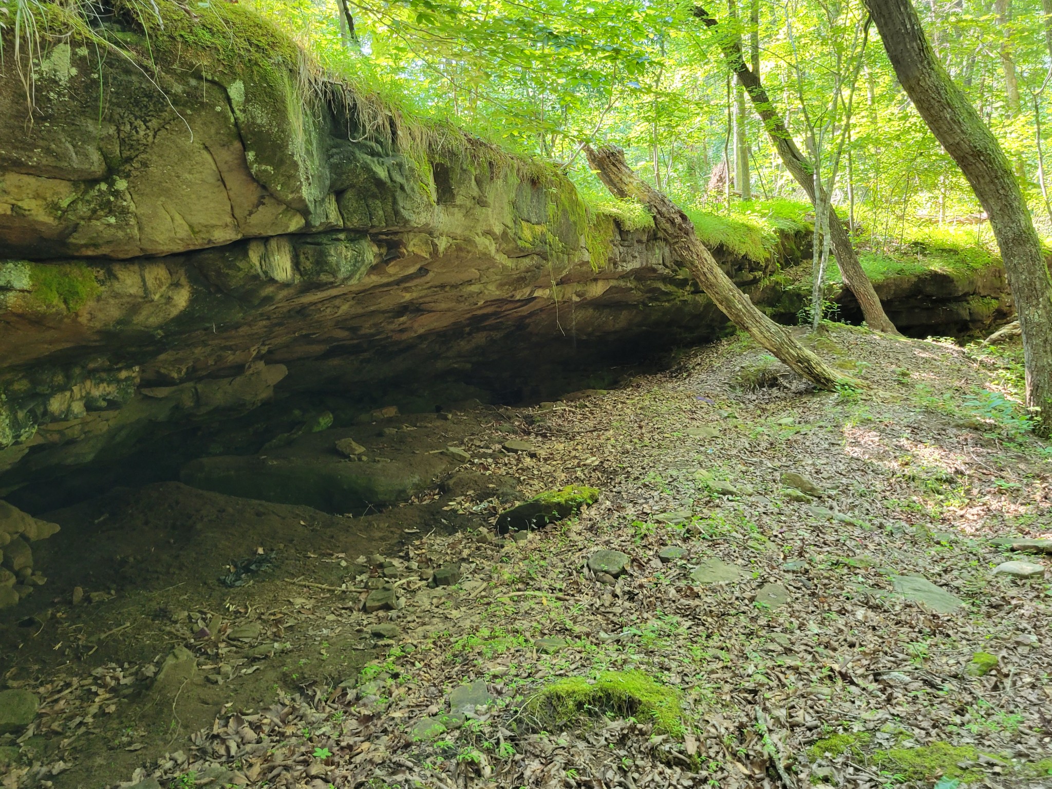 84 Sunset Bluff Monteagle, TN 37356 - Photo 8 of 22